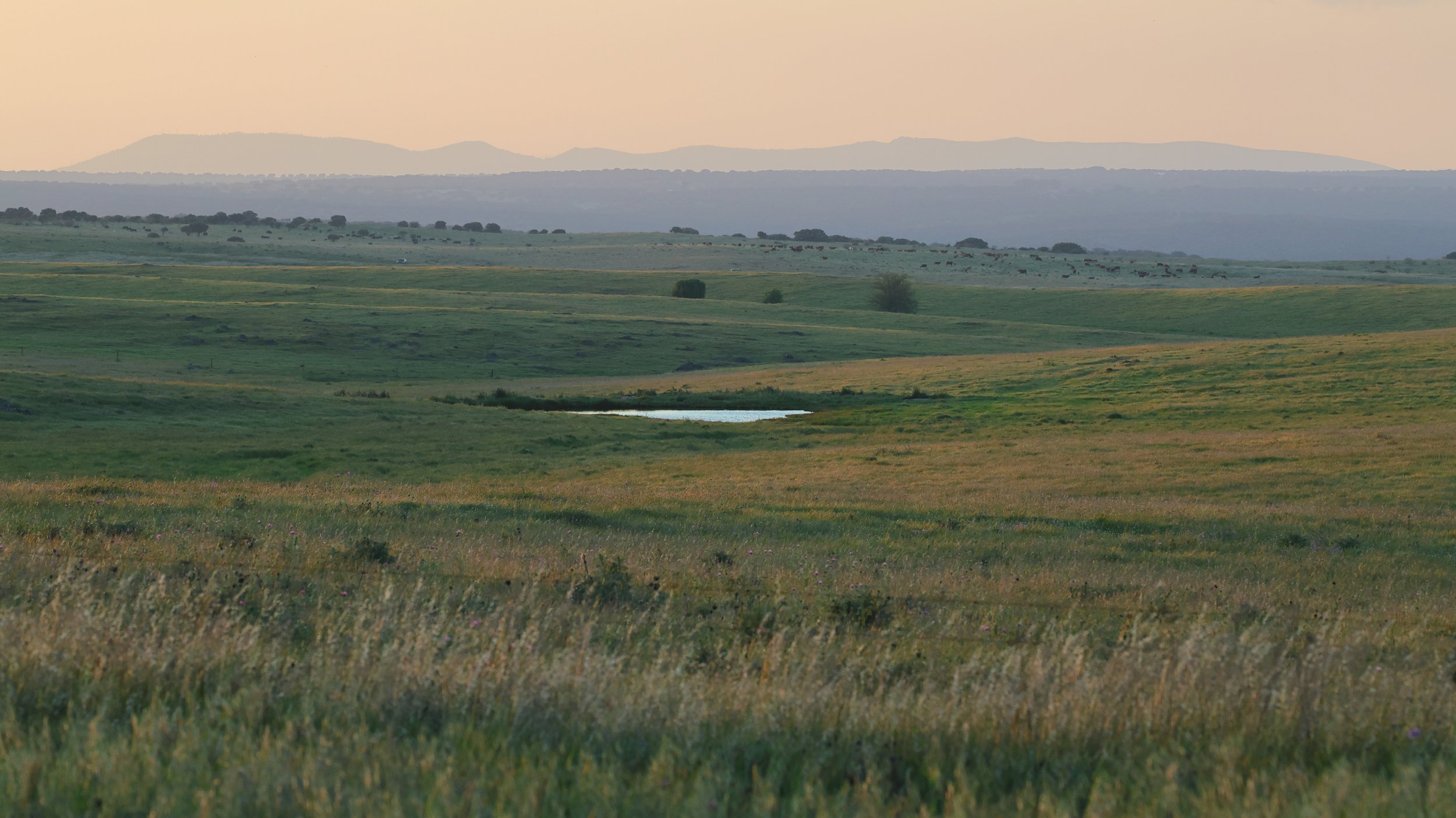 Prairies H86A4174.JPG