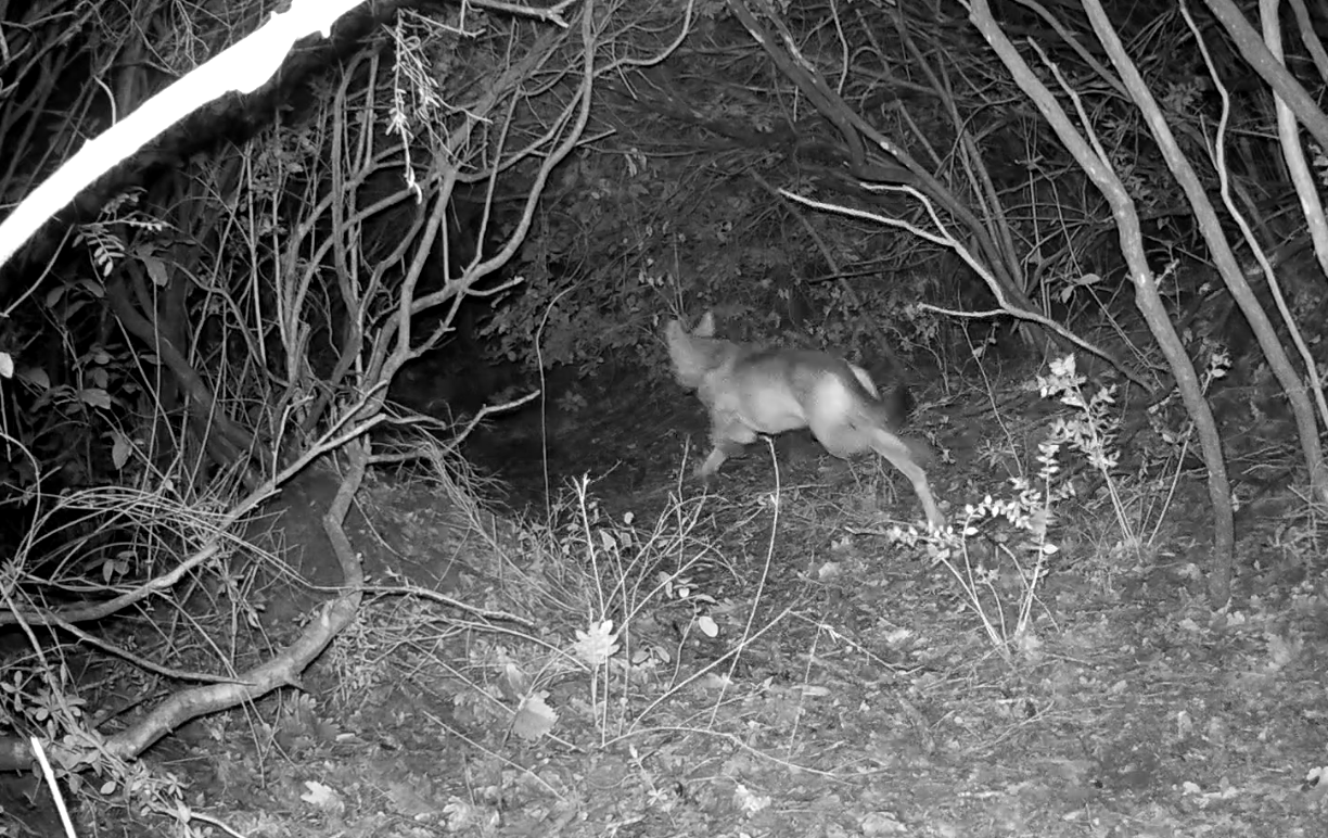  Riserva Naturale Decima Malafede 