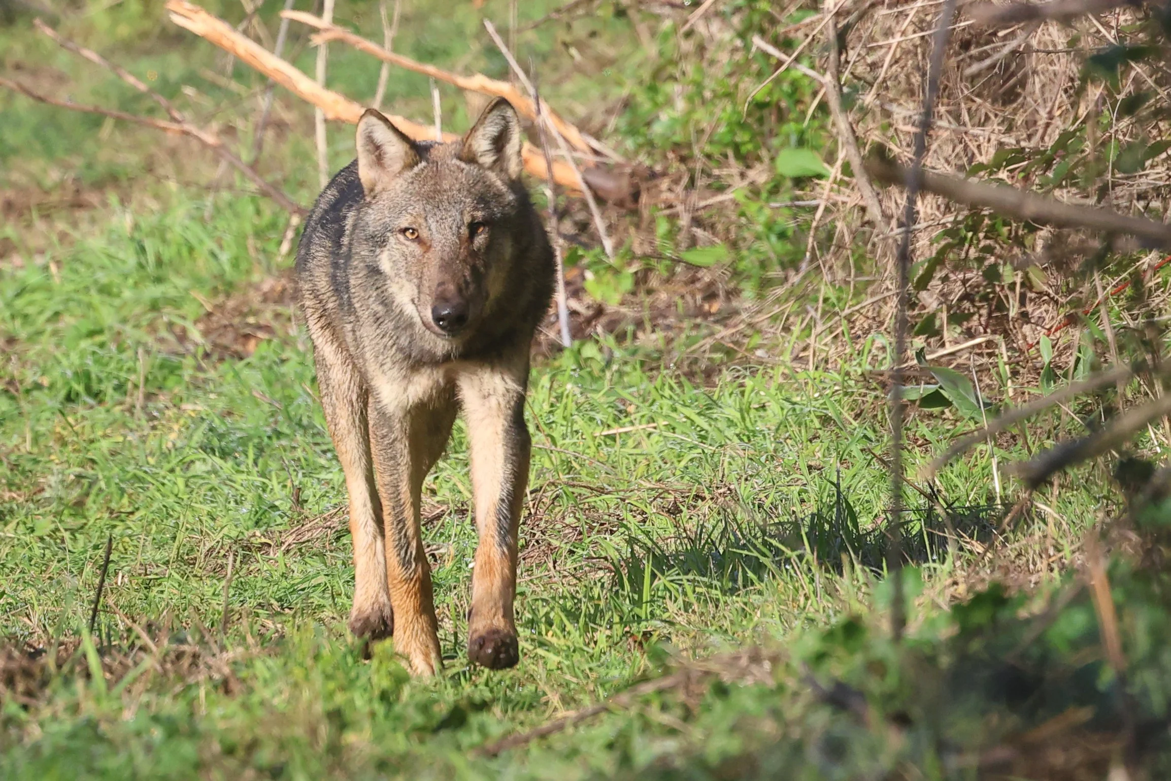  08/12/25, 9:40, Castel Romano 