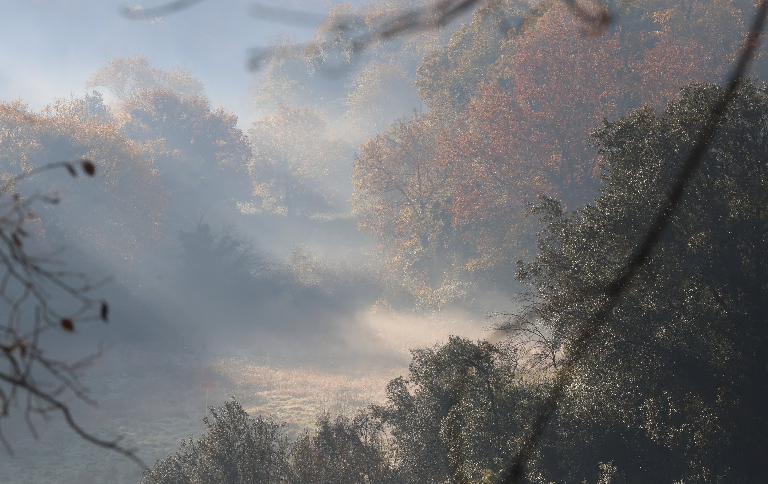 Sotto castel romano H86A9310.JPG