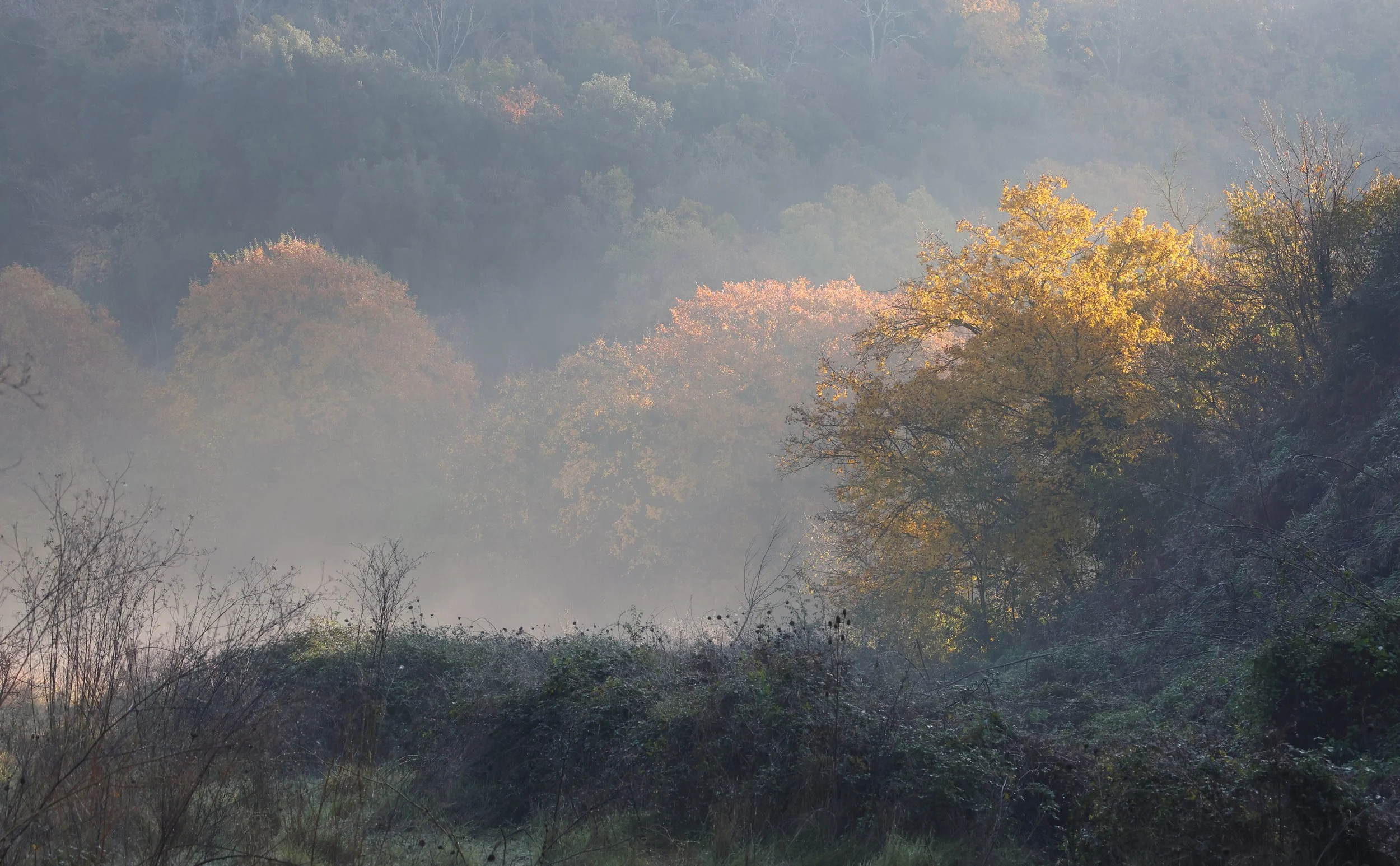 Sotto Castel romano H86A9315.JPG