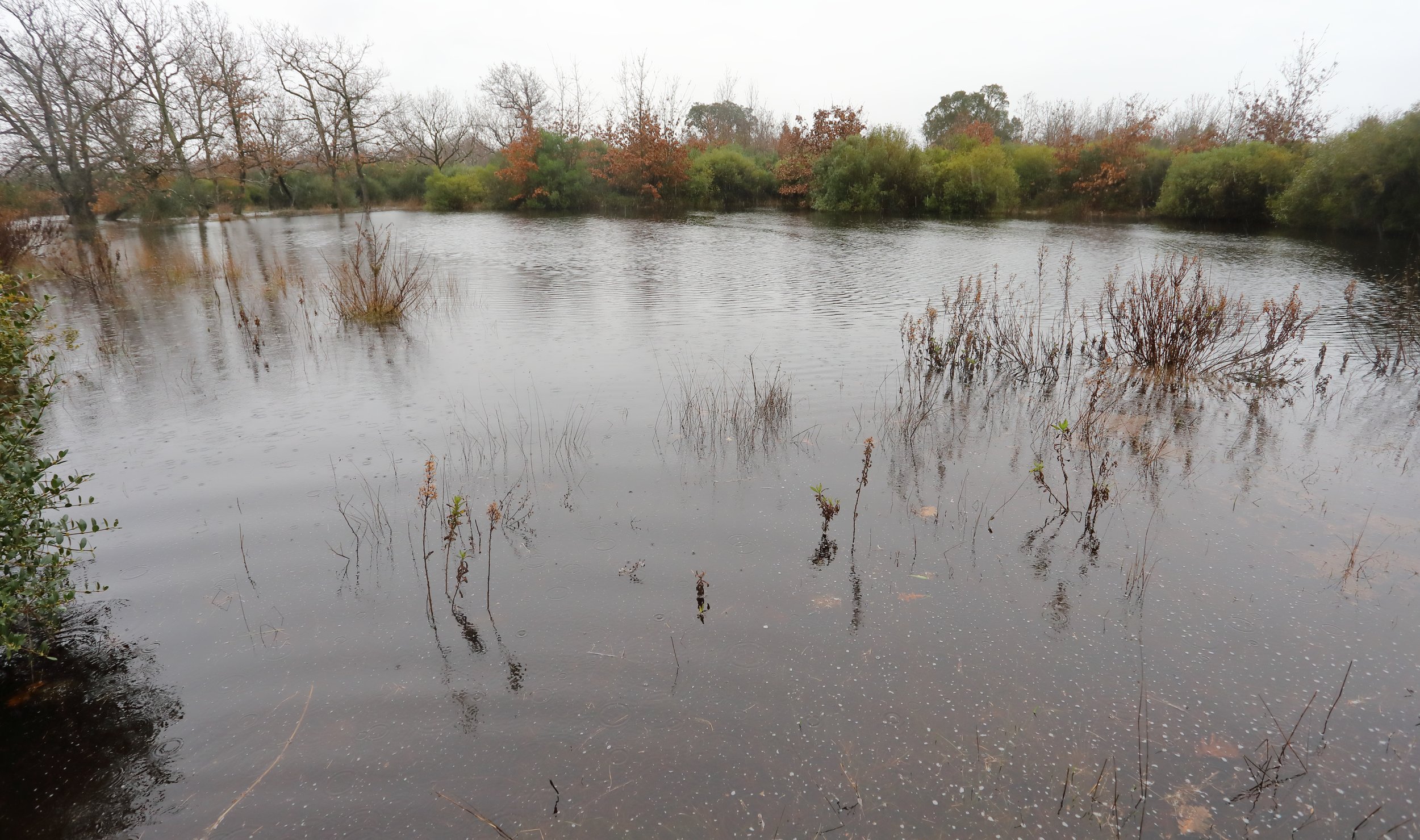 2 Prima piscina 04_02_26 464A3255.JPG