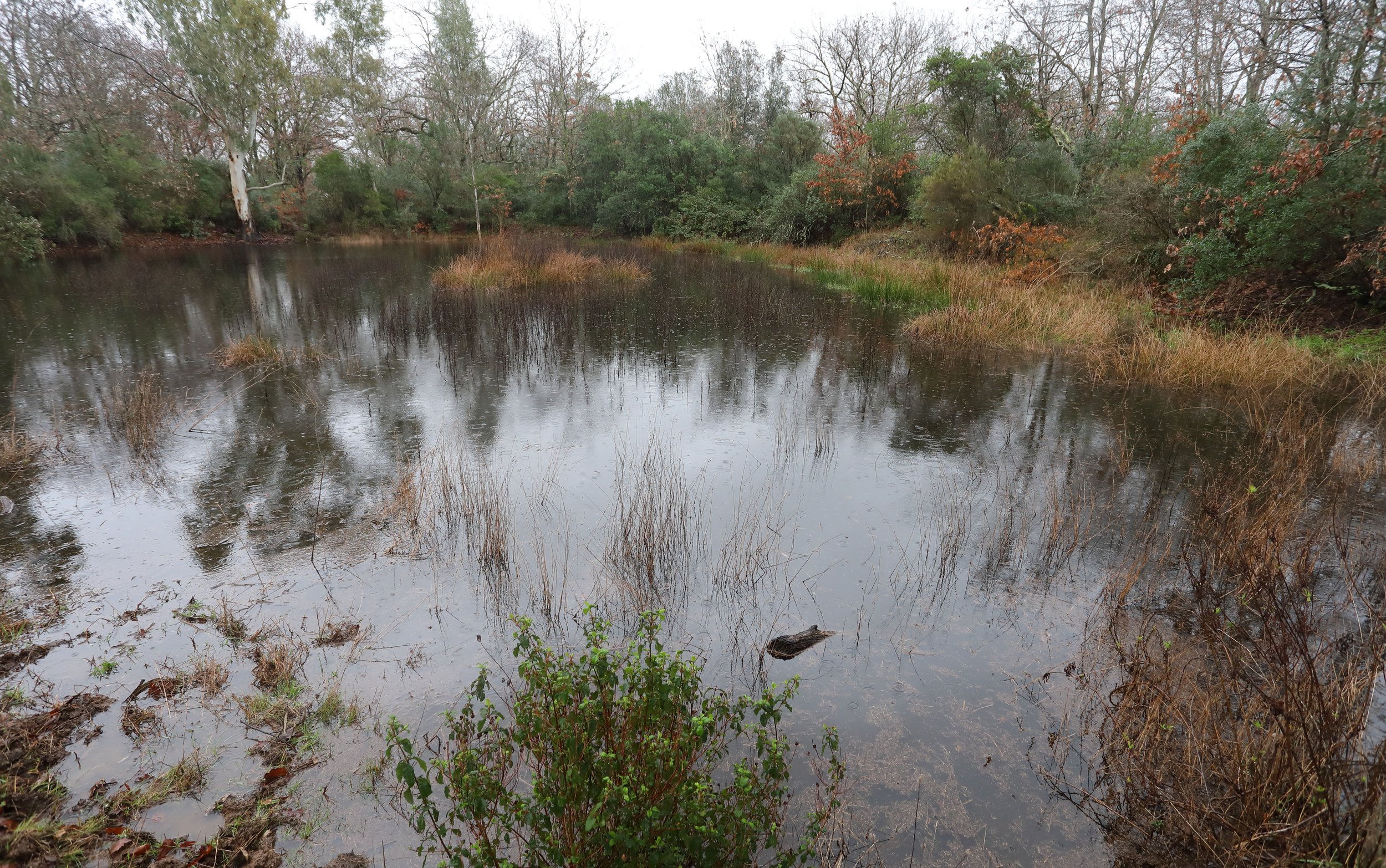 Quarta piscina 464A3250.JPG