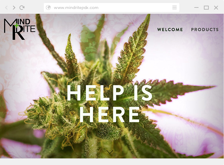 SOS Media Web Design MindRite Small Business Branding