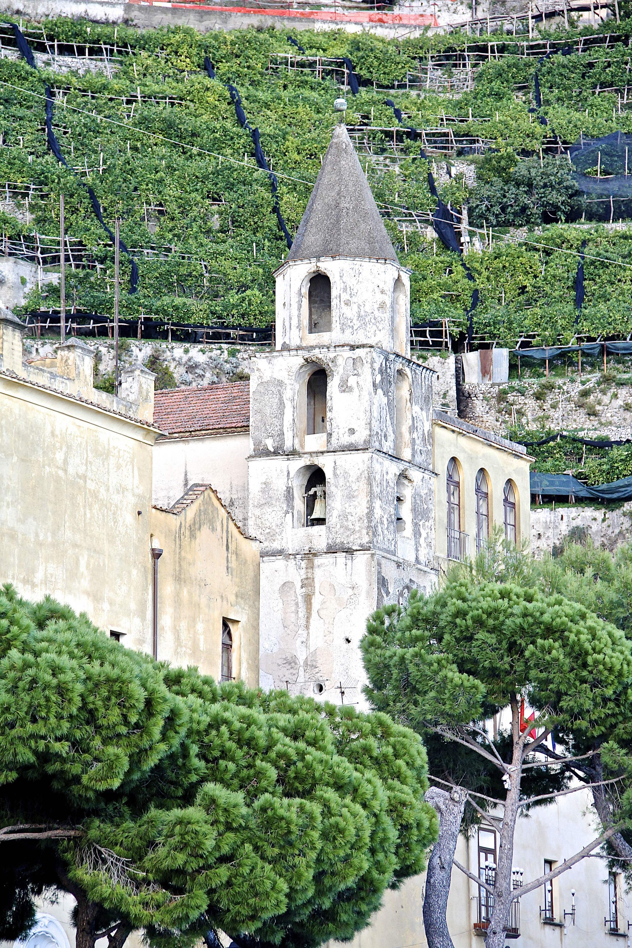 Steeple in the Vineyards  E117