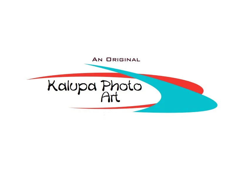 Logo:no Yr copy.jpg
