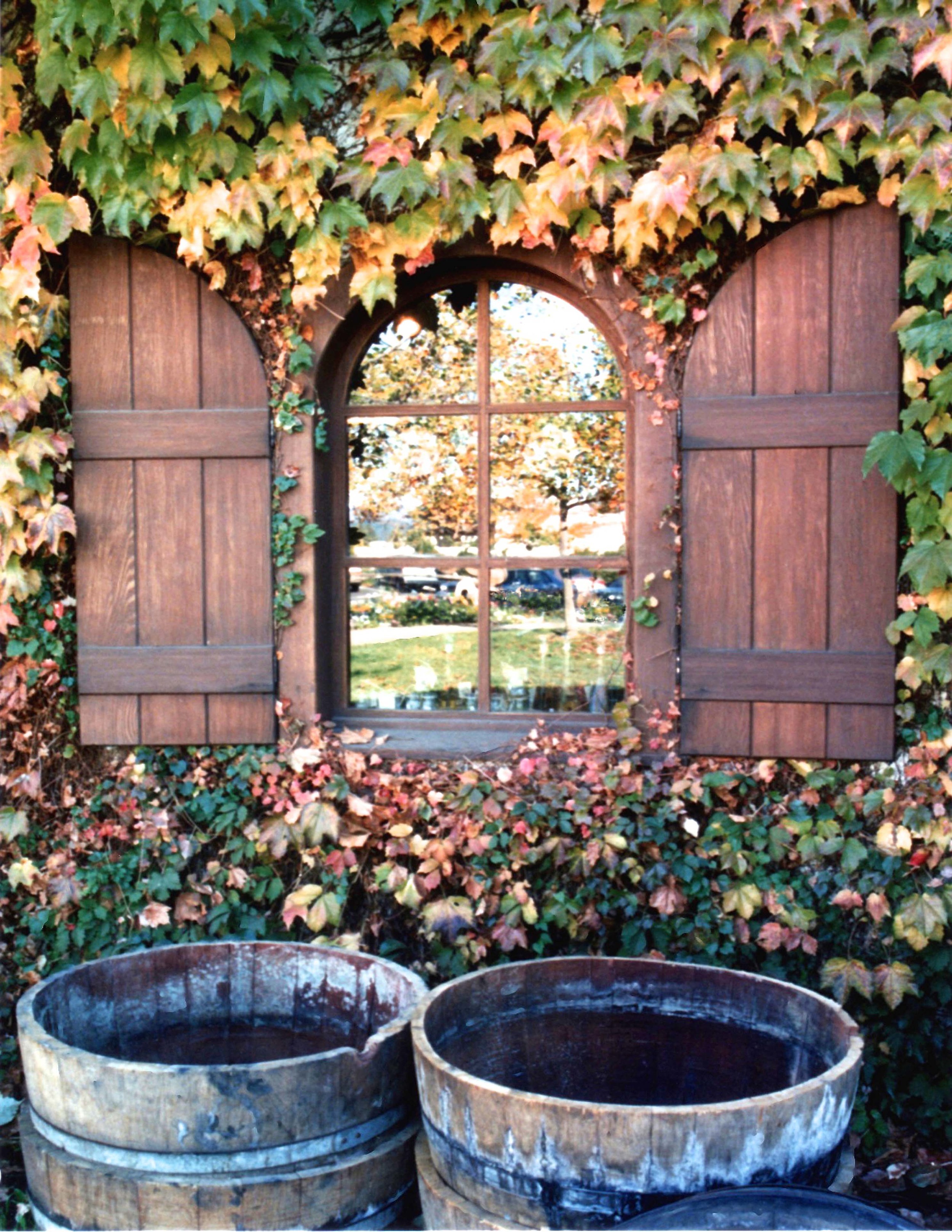 Vines, Tubs & Window  U108