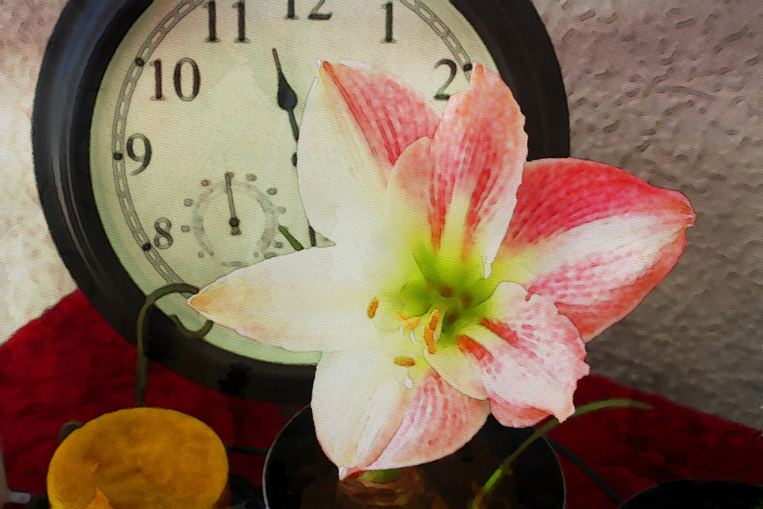 Time for Flowers W113