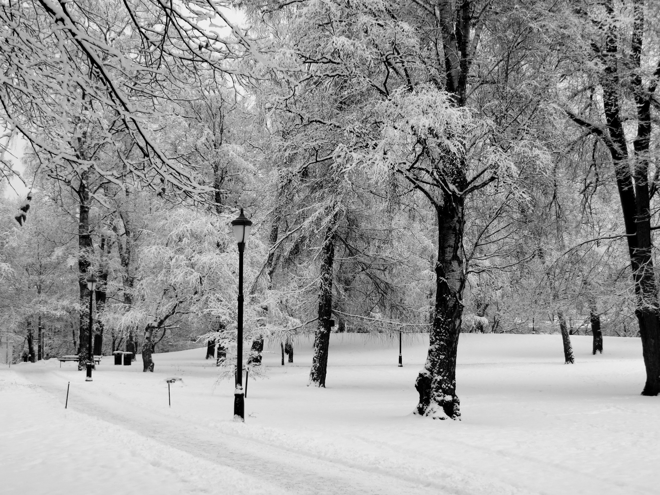 February in Oslo  B104