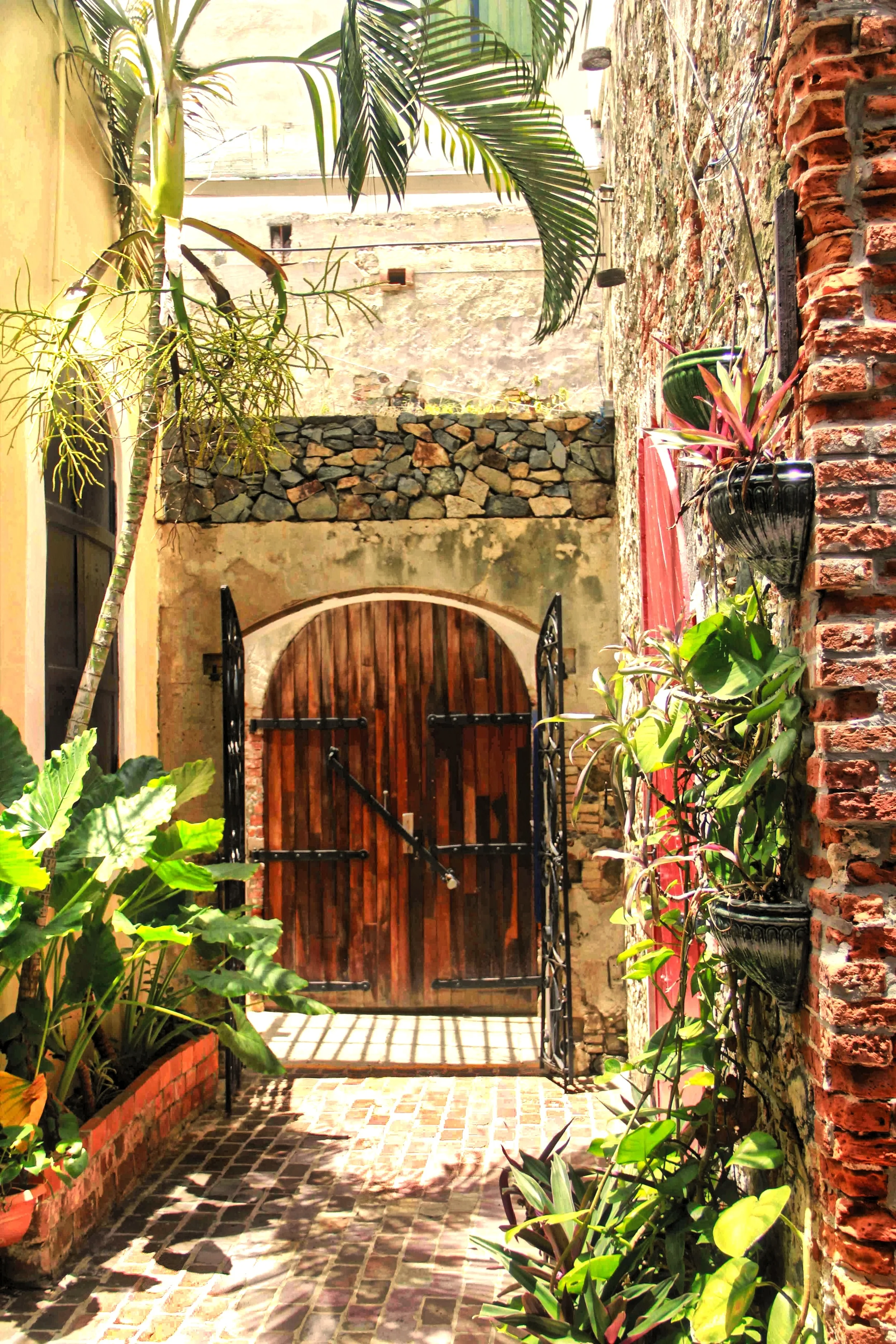 Royal Dane Alley C109