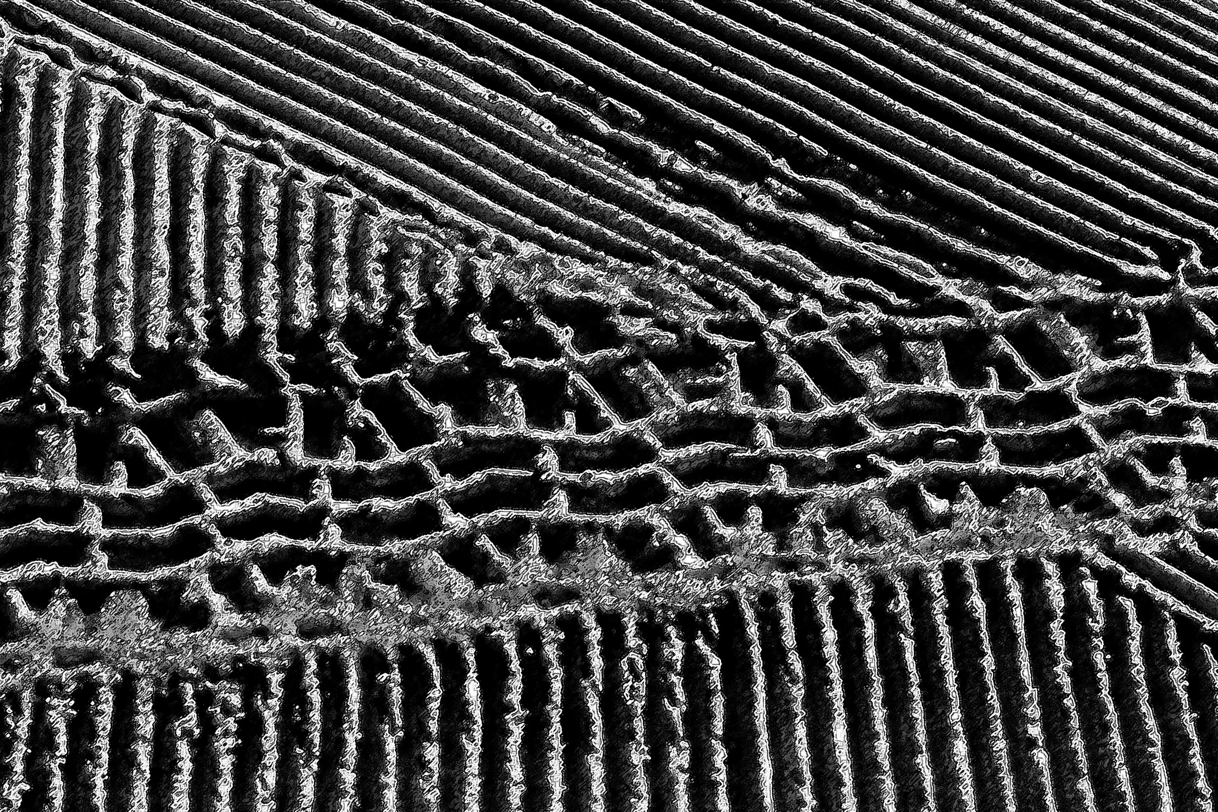 Beach Tracks B107