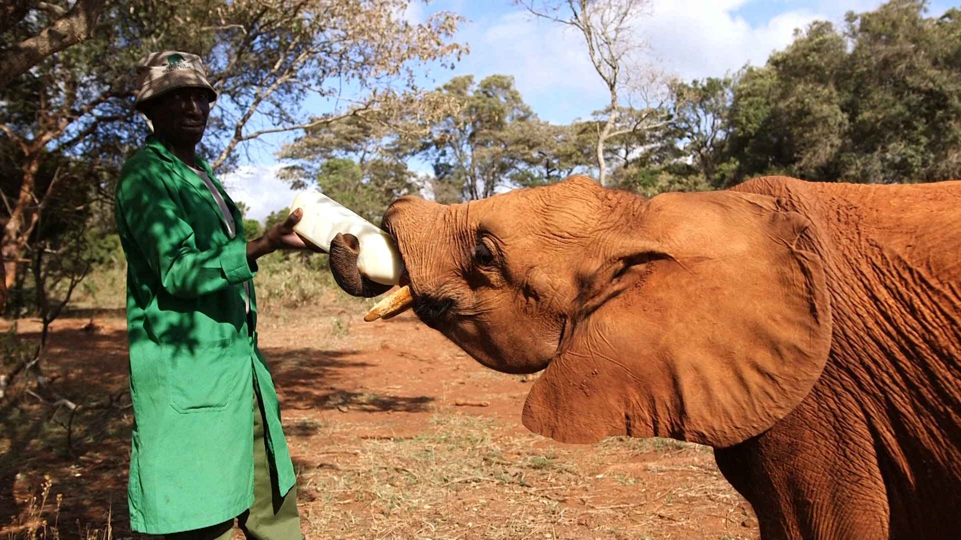 Keepers' Diary: A Life Shared with Orphaned Elephants