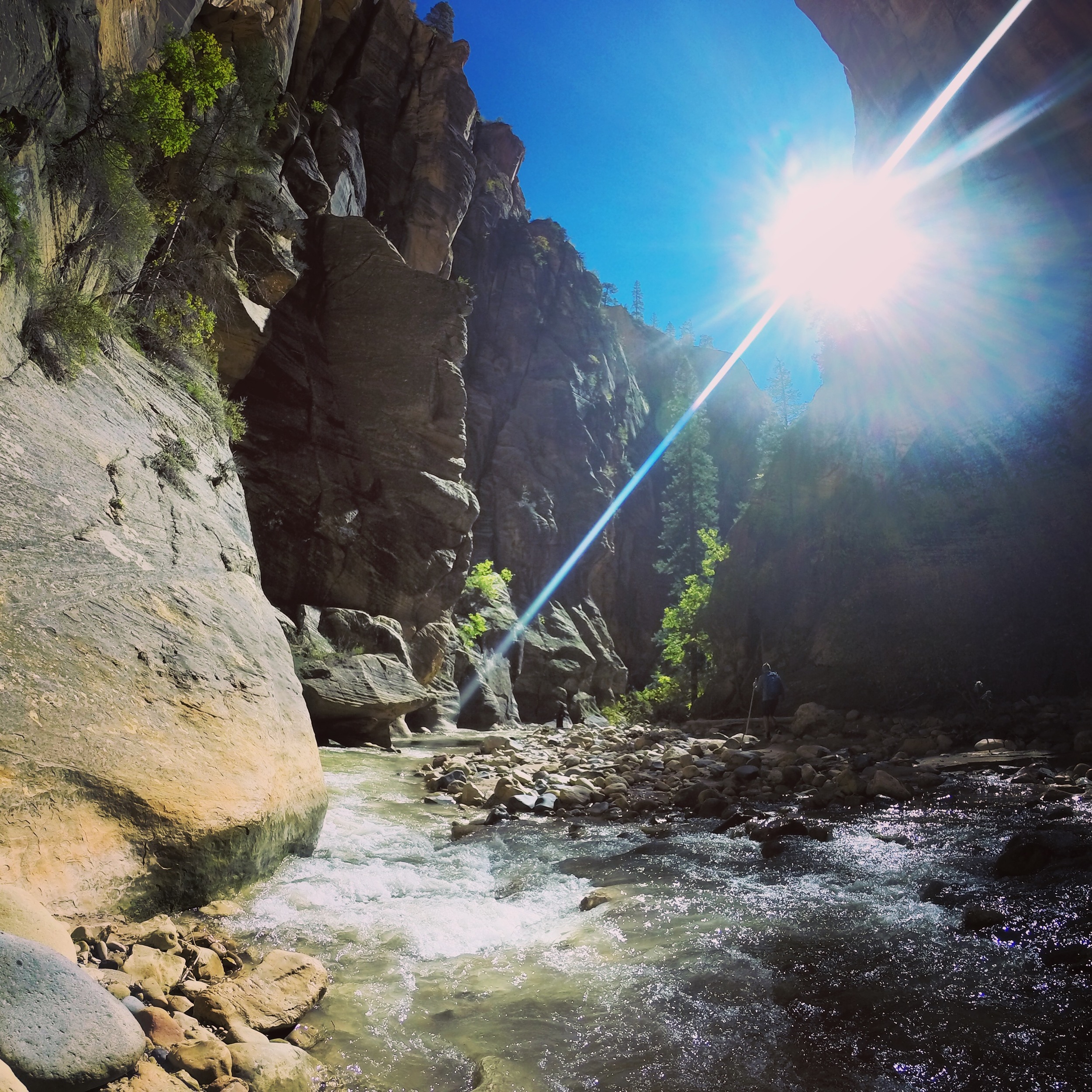 The Narrows - Zion National Park, UT