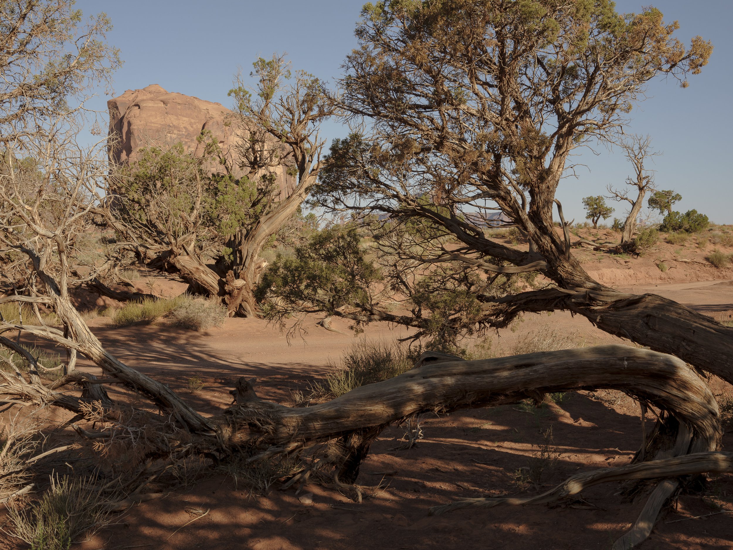 ScottBall_southwest-navajo-monument-valley-arizona--9-2022-4.jpg