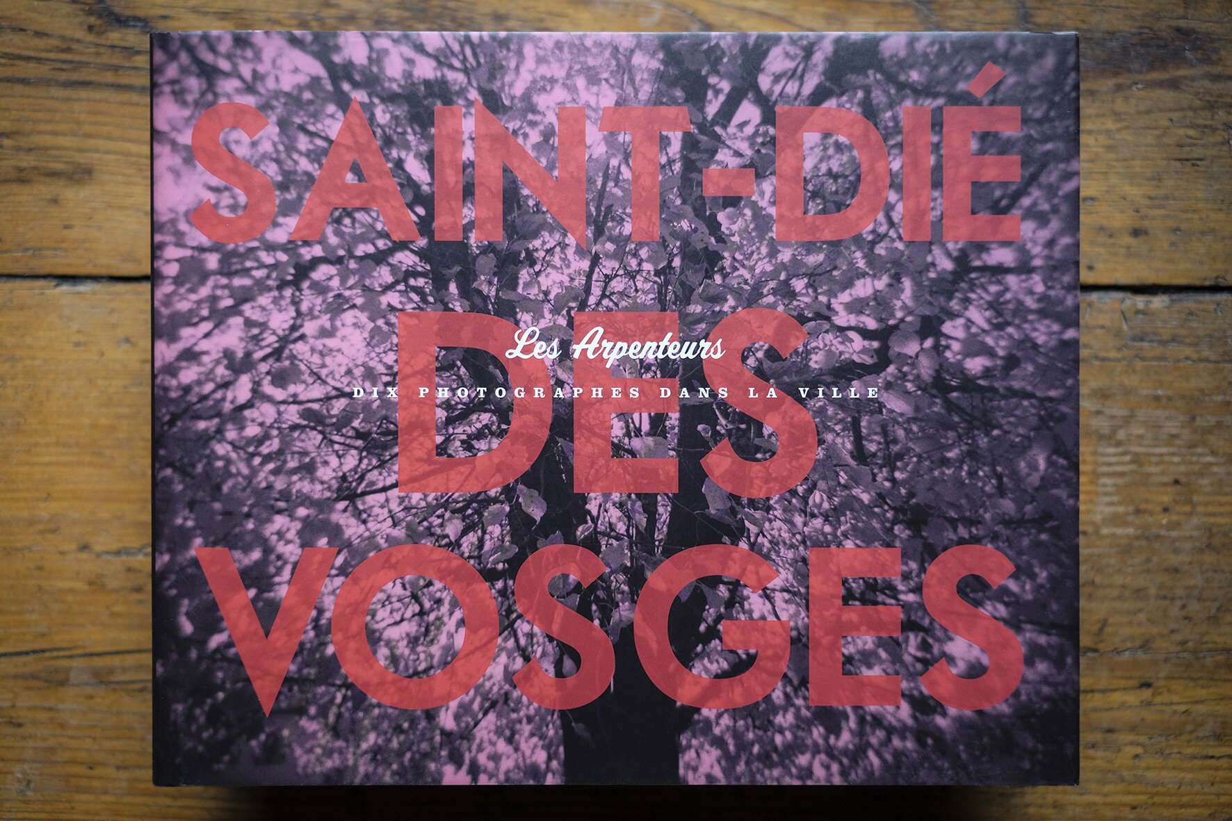 Saint Dié des Vosges