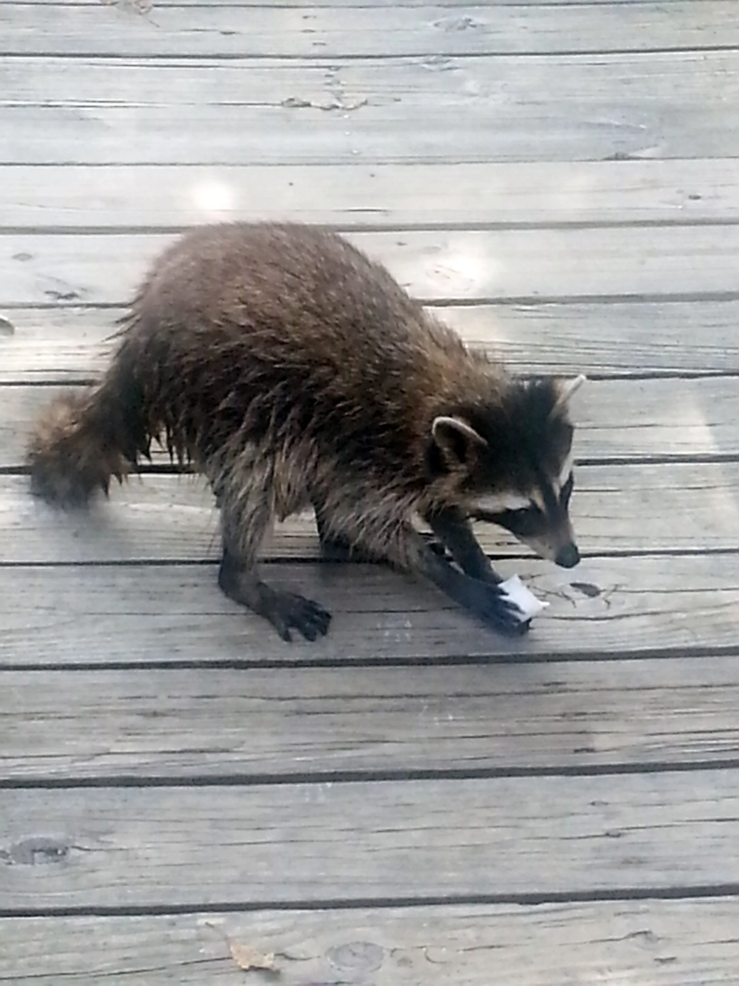 20140702_164222.jpg