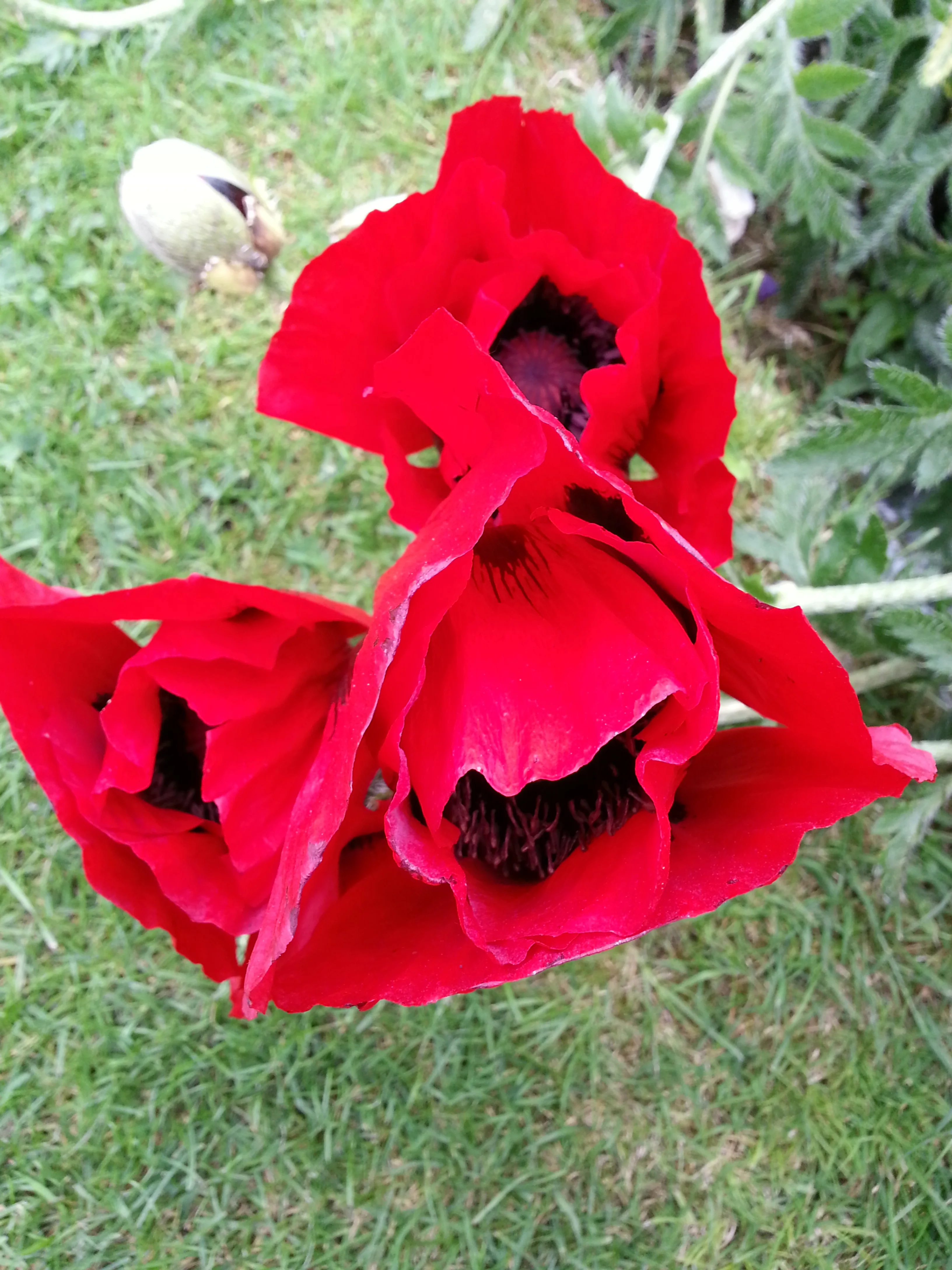 20140528_170828.jpg