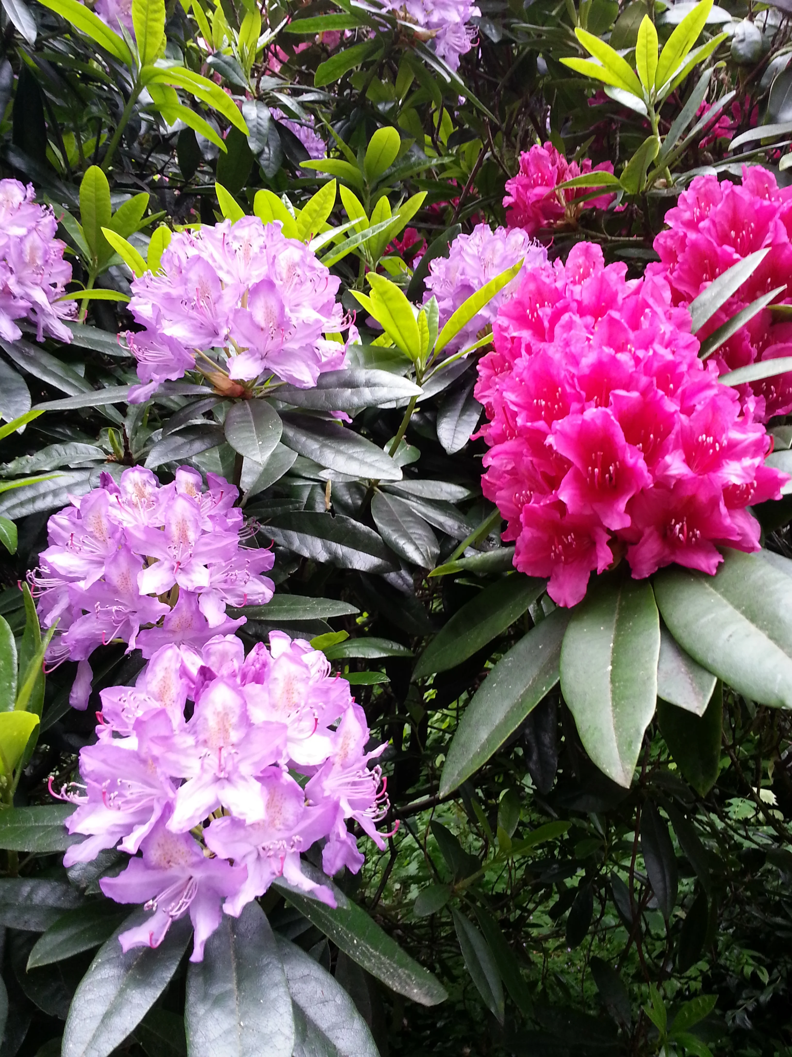 20140528_171053.jpg