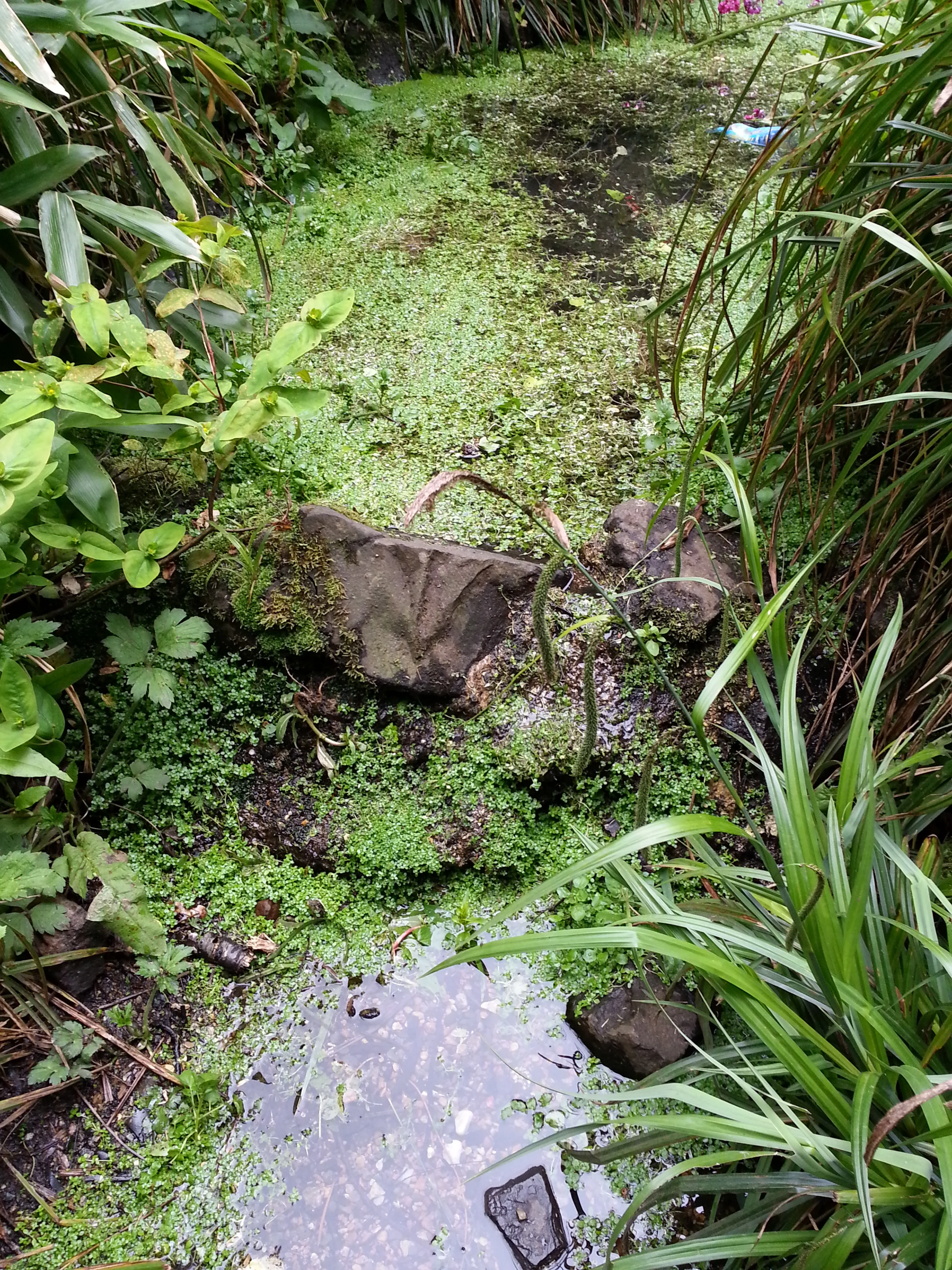 20140528_172233.jpg