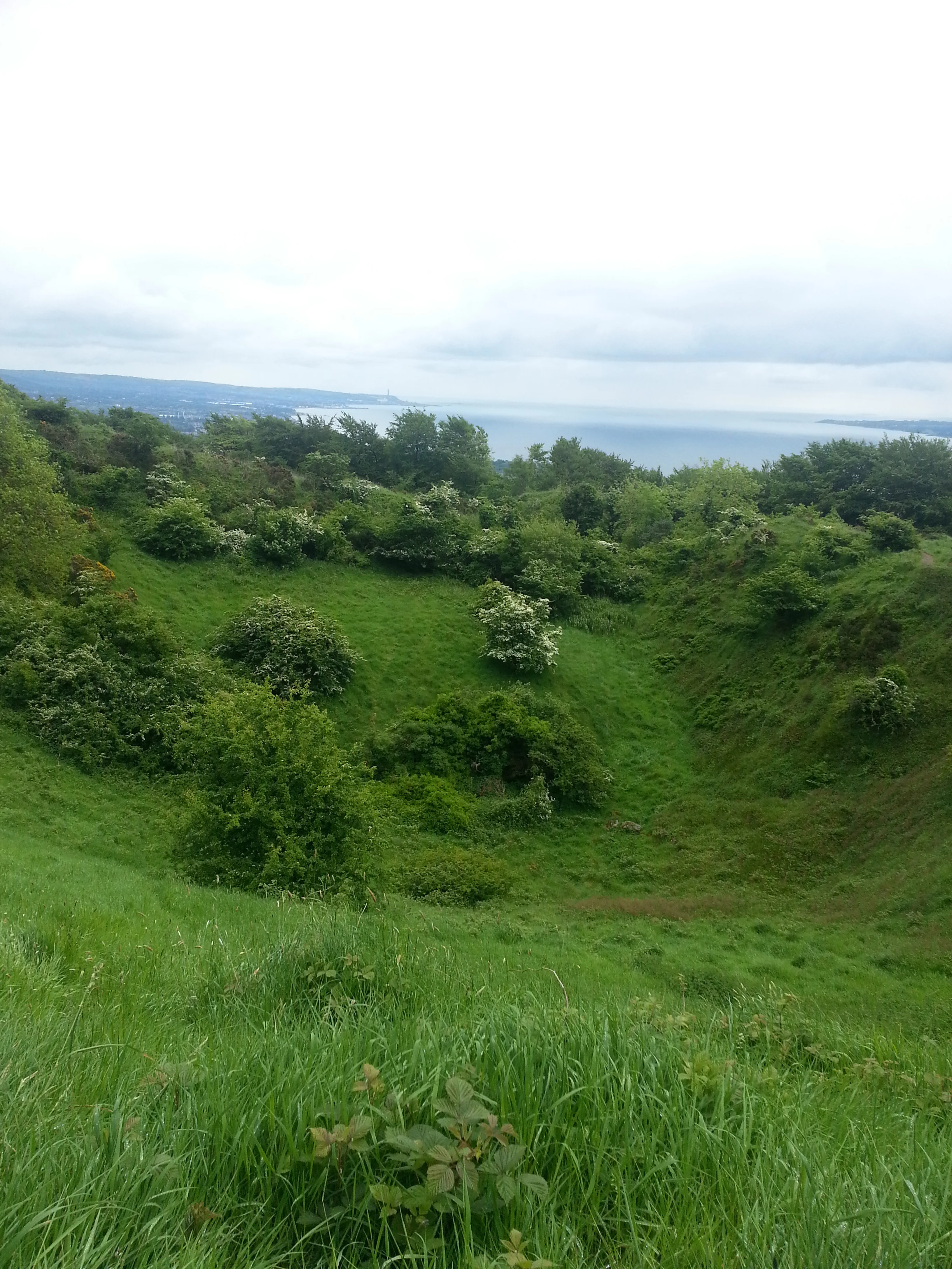 20140602_105939.jpg