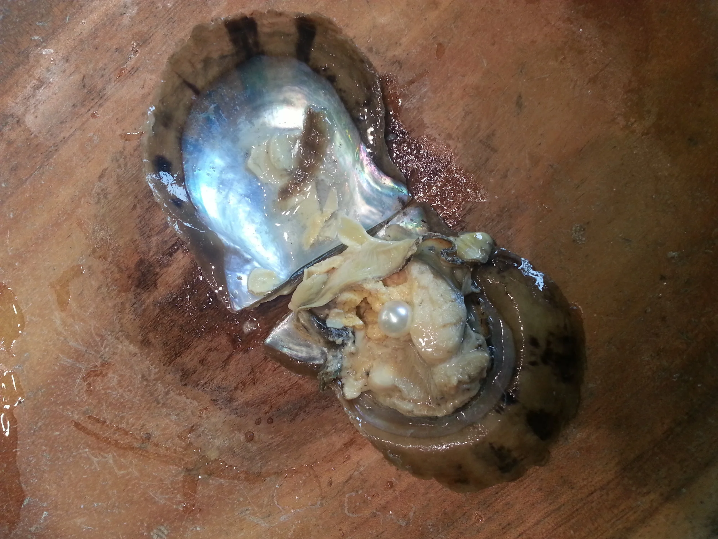 20140818_122539.jpg