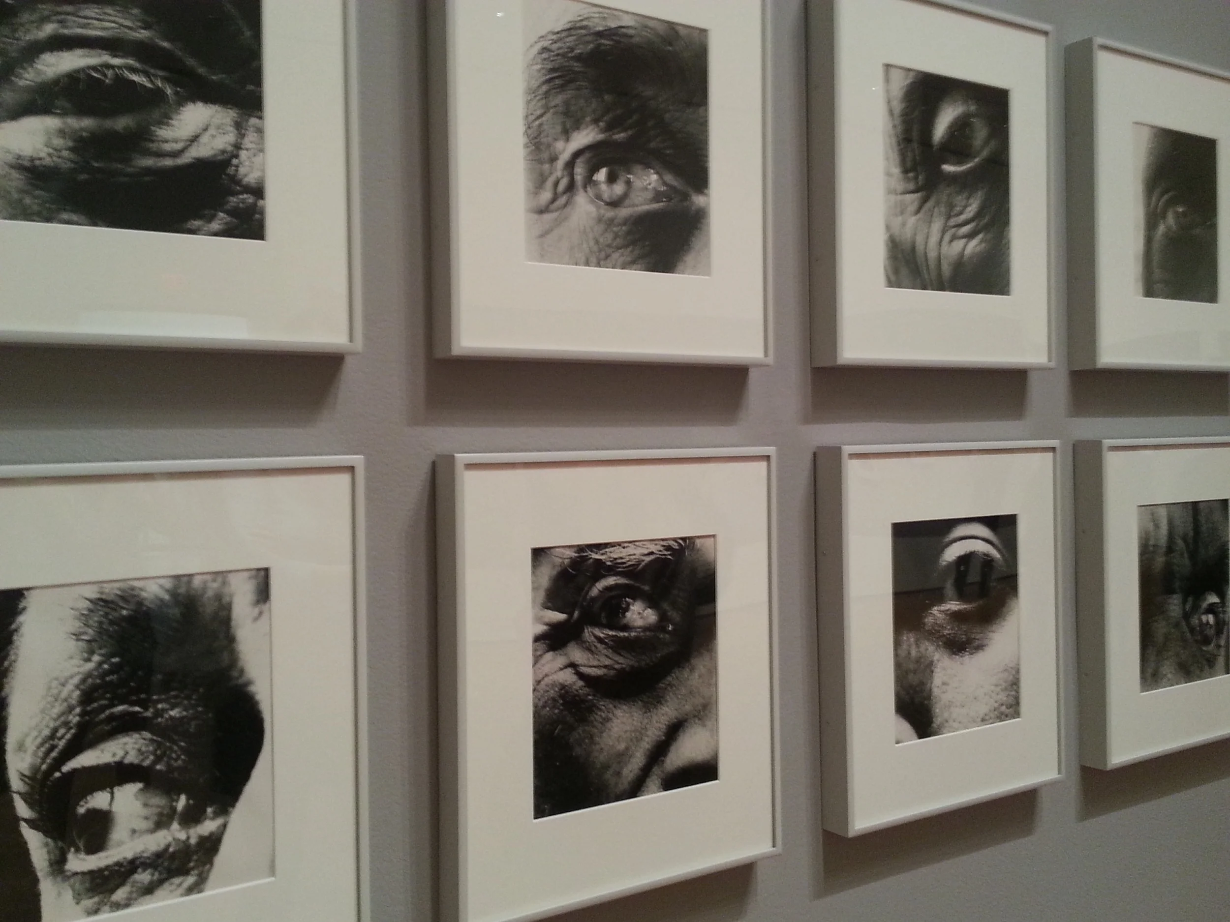 20130809_161102.jpg