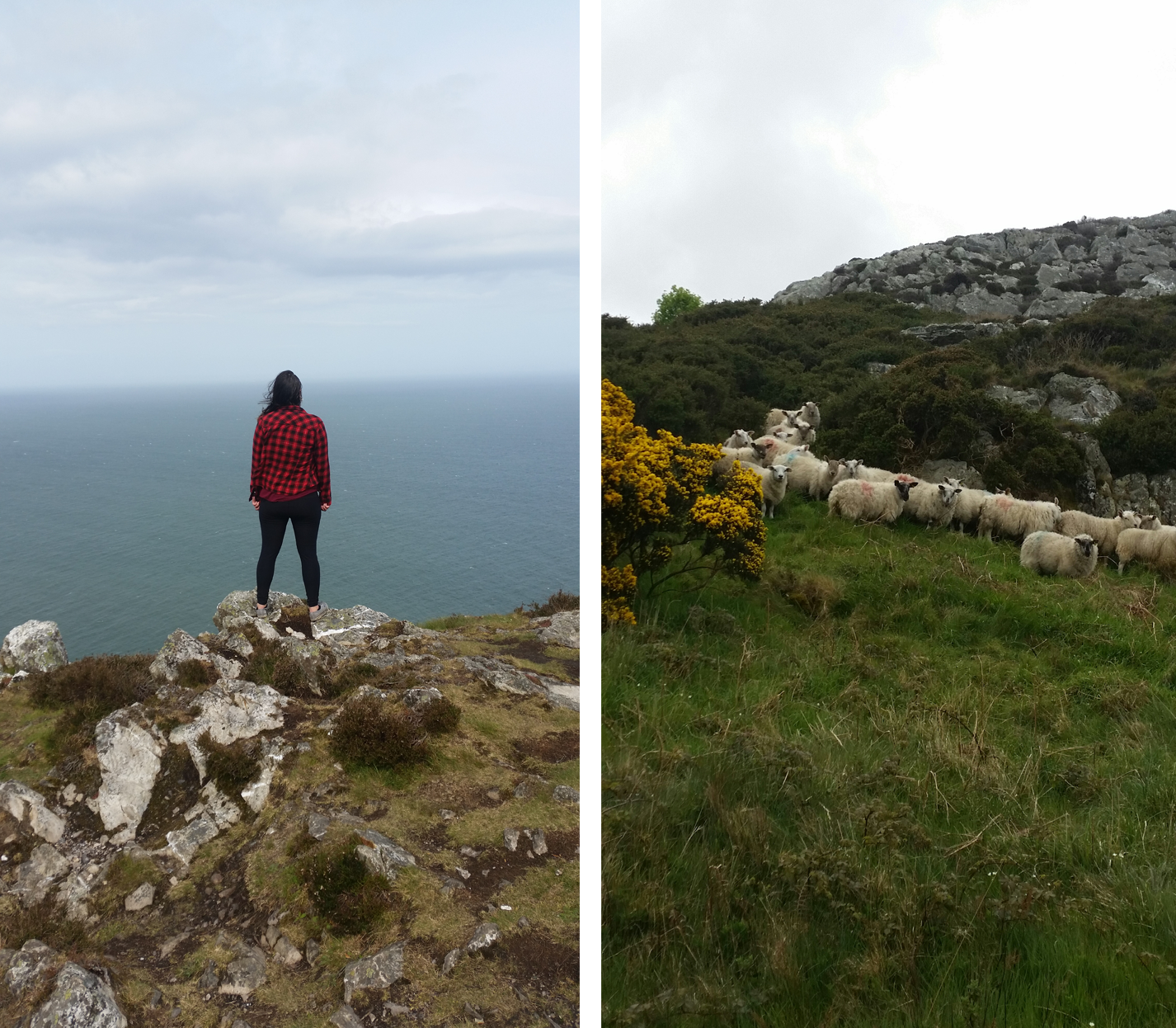 Bray is quite lovely. The sheep were so skittish though!