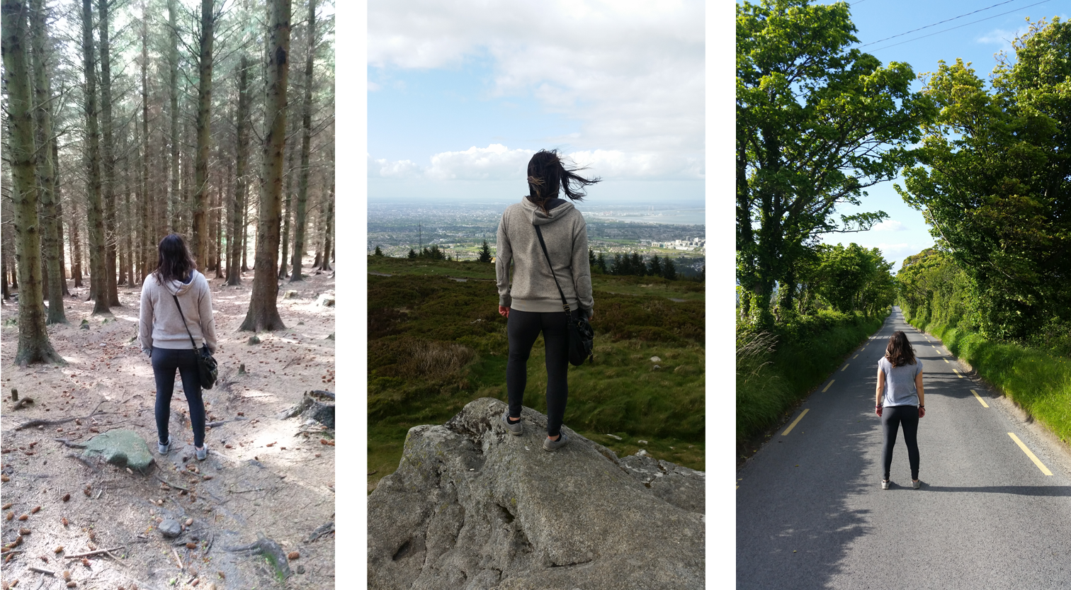 All pictures taken on the same day, the same walk, the same few hours, up to the mountain and back down.