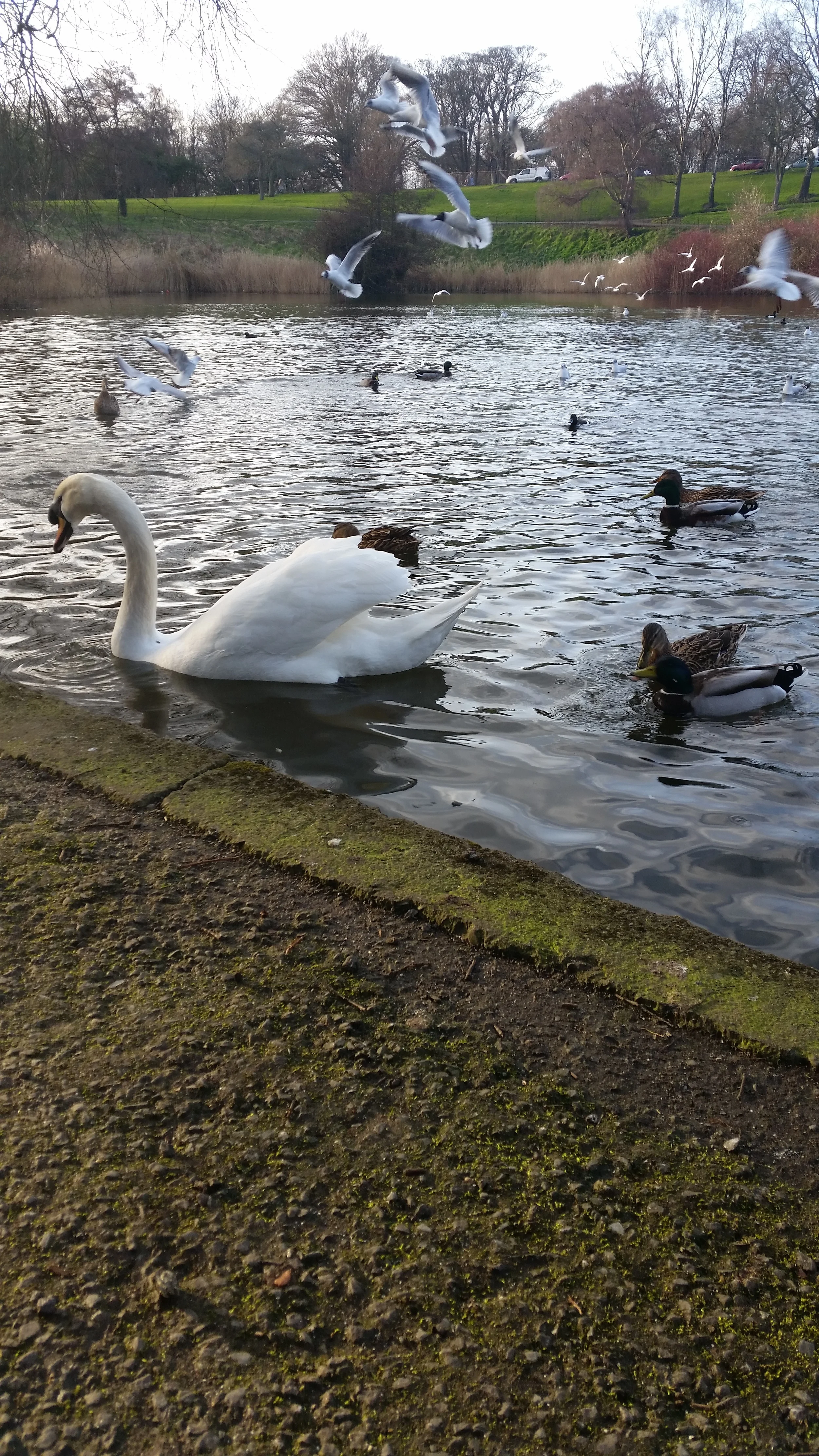 20150310_165035.jpg