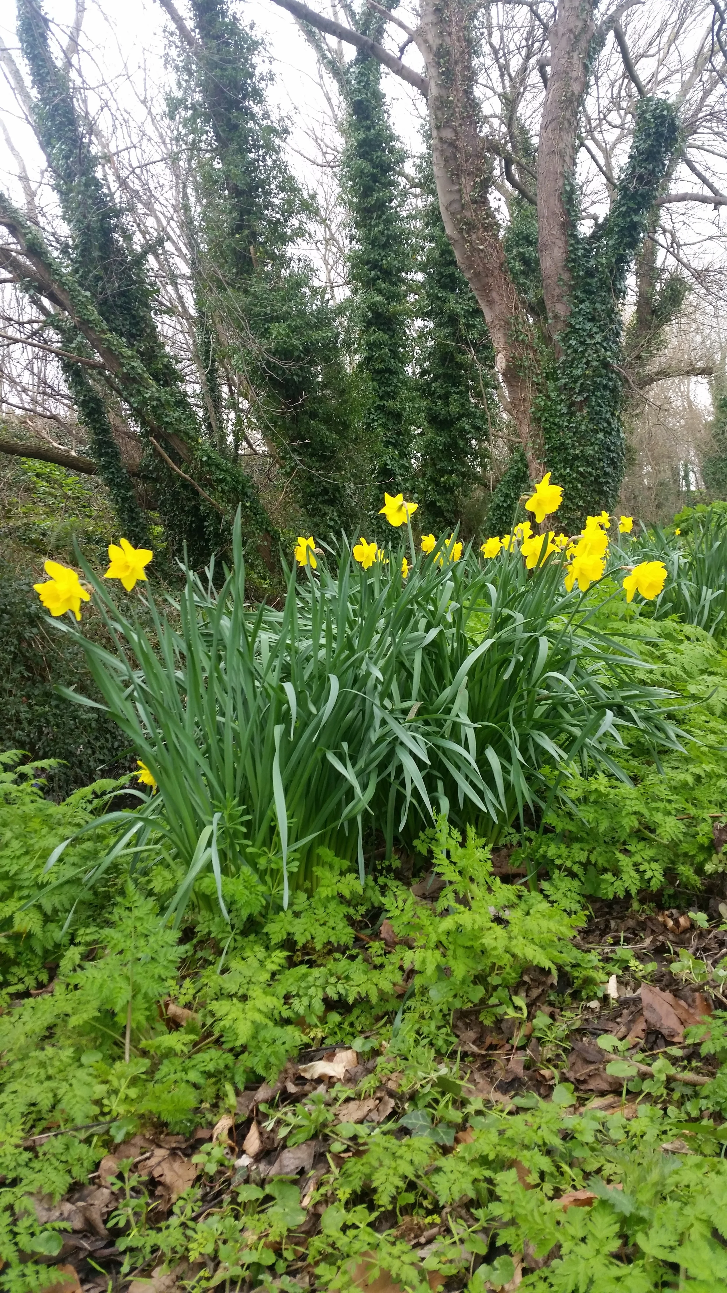 20150325_140932.jpg