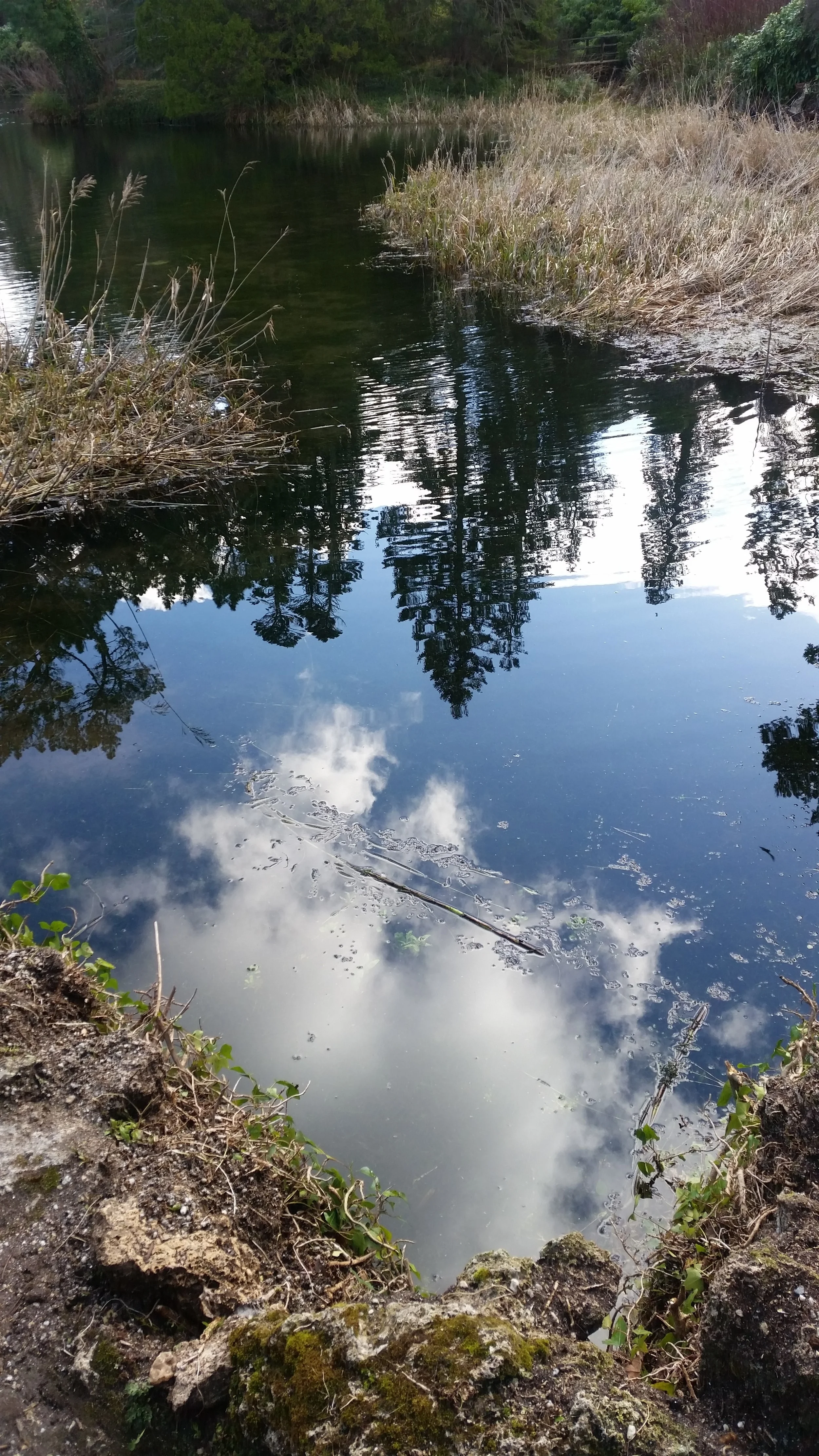 20160214_150238.jpg