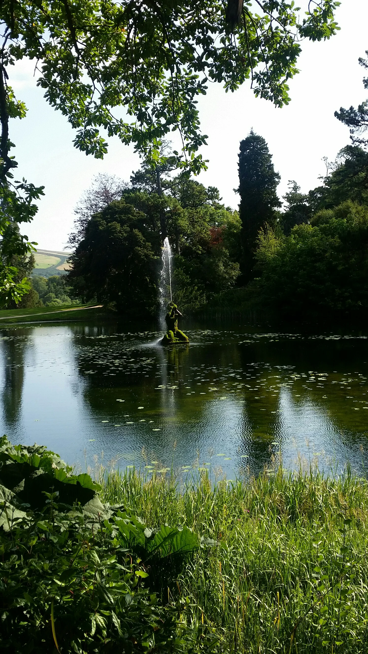 20150905_155030_resized.jpg