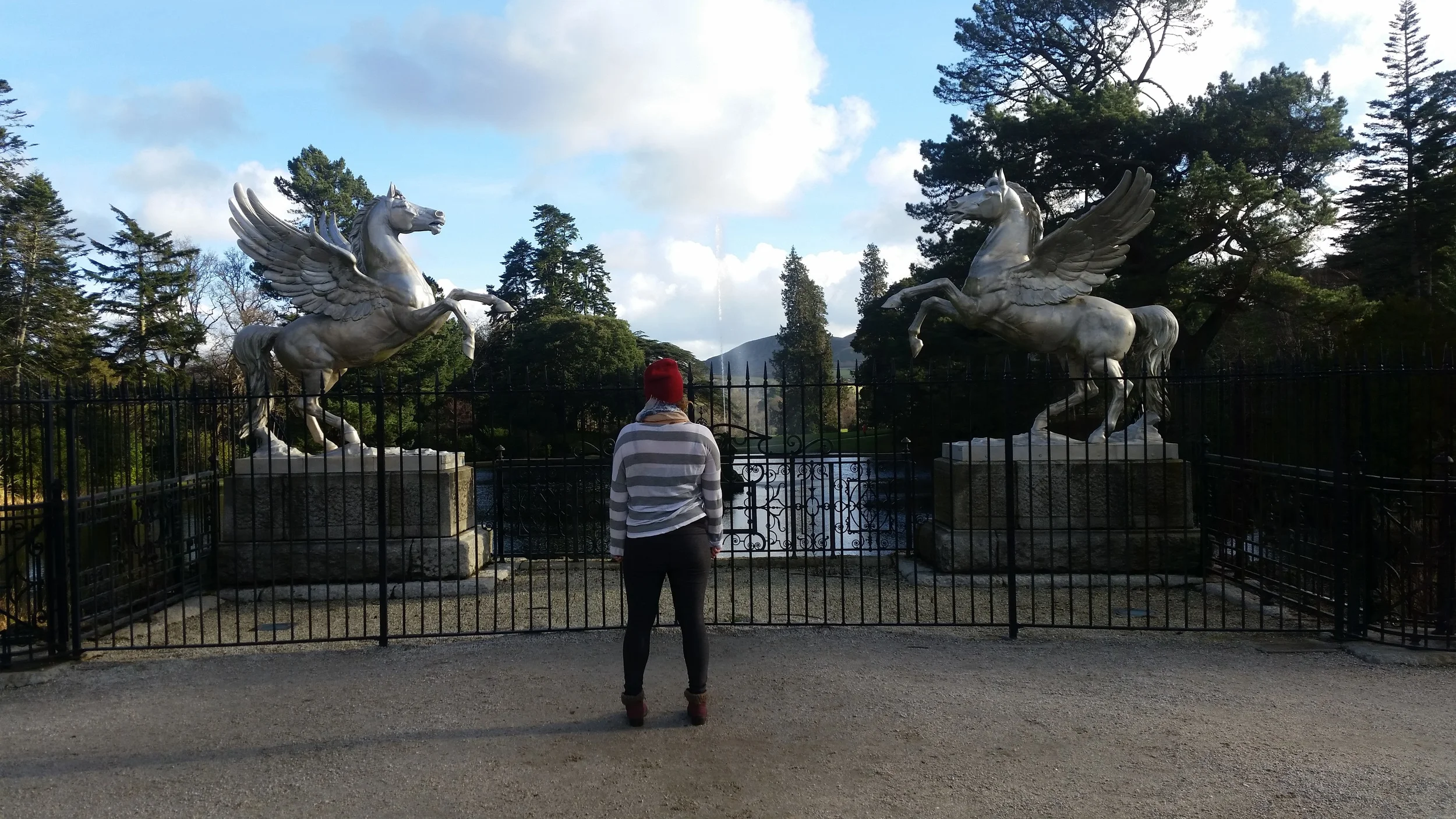 20160214_150410.jpg