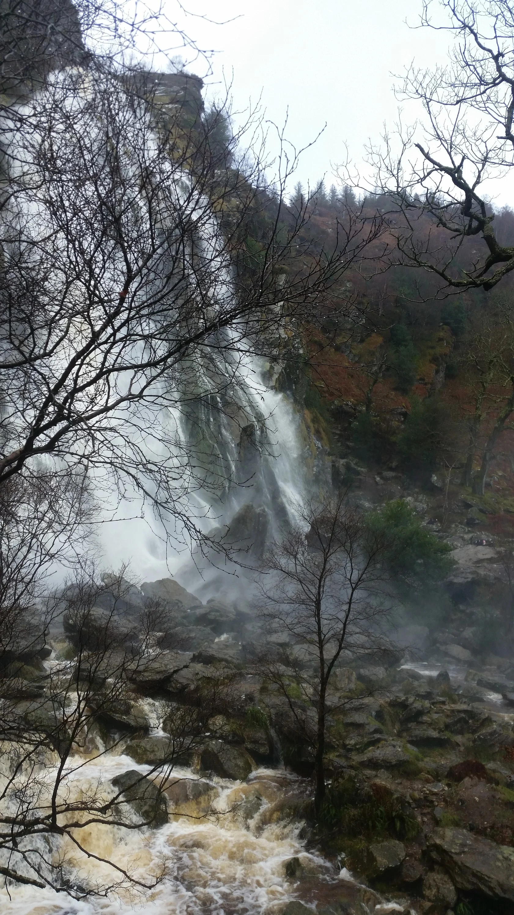 20160221_150900.jpg