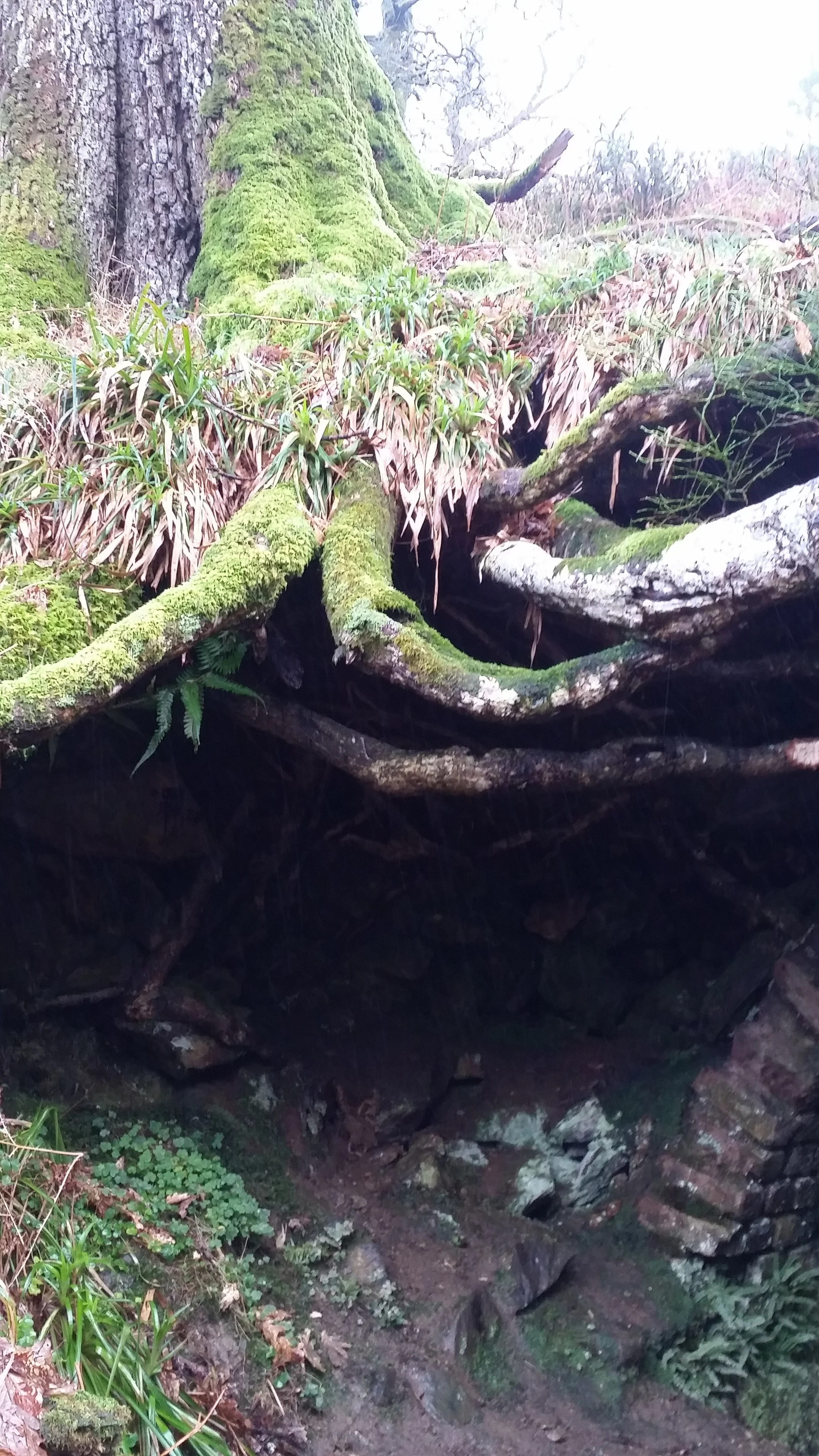 20160221_151227.jpg