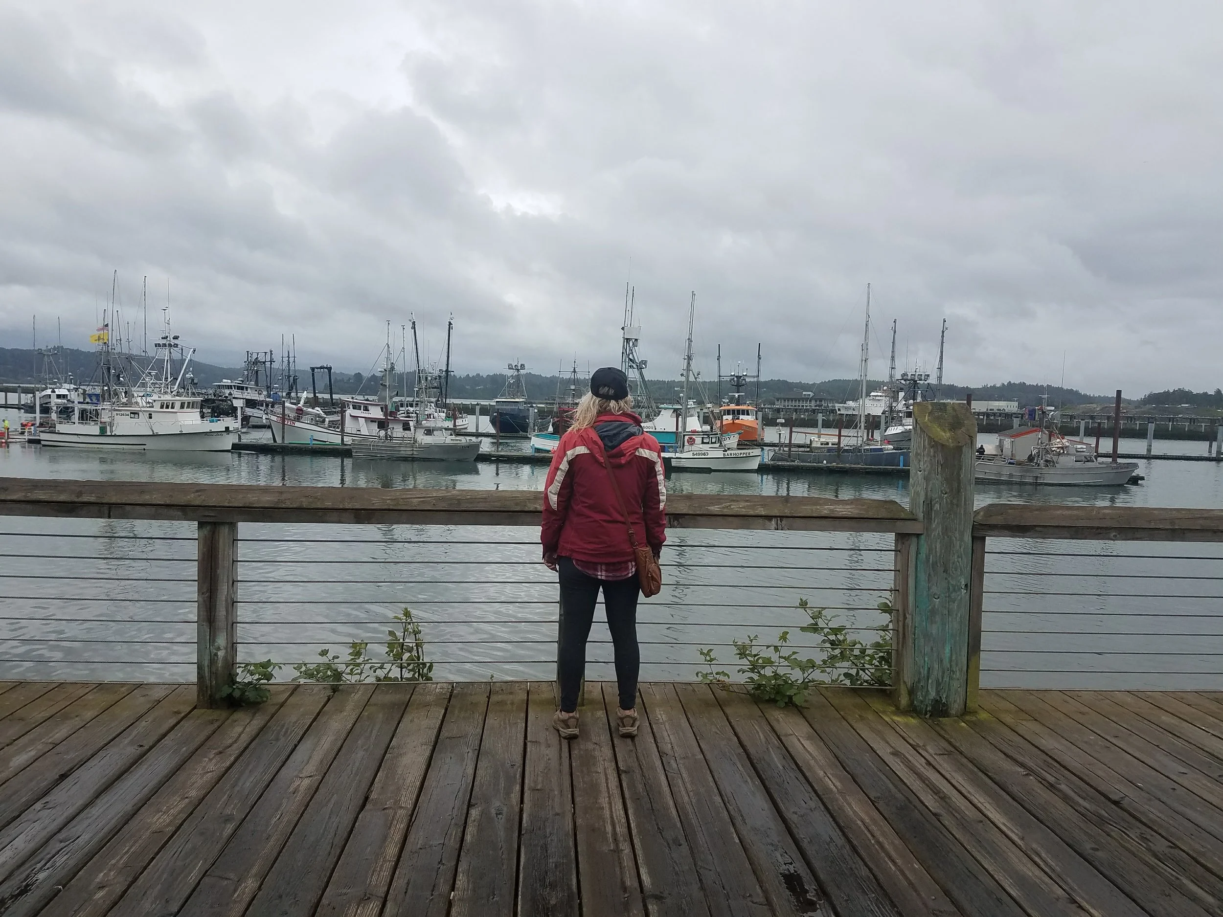 Small coastal city we stopped to grab breakfast and watch the sea lions.