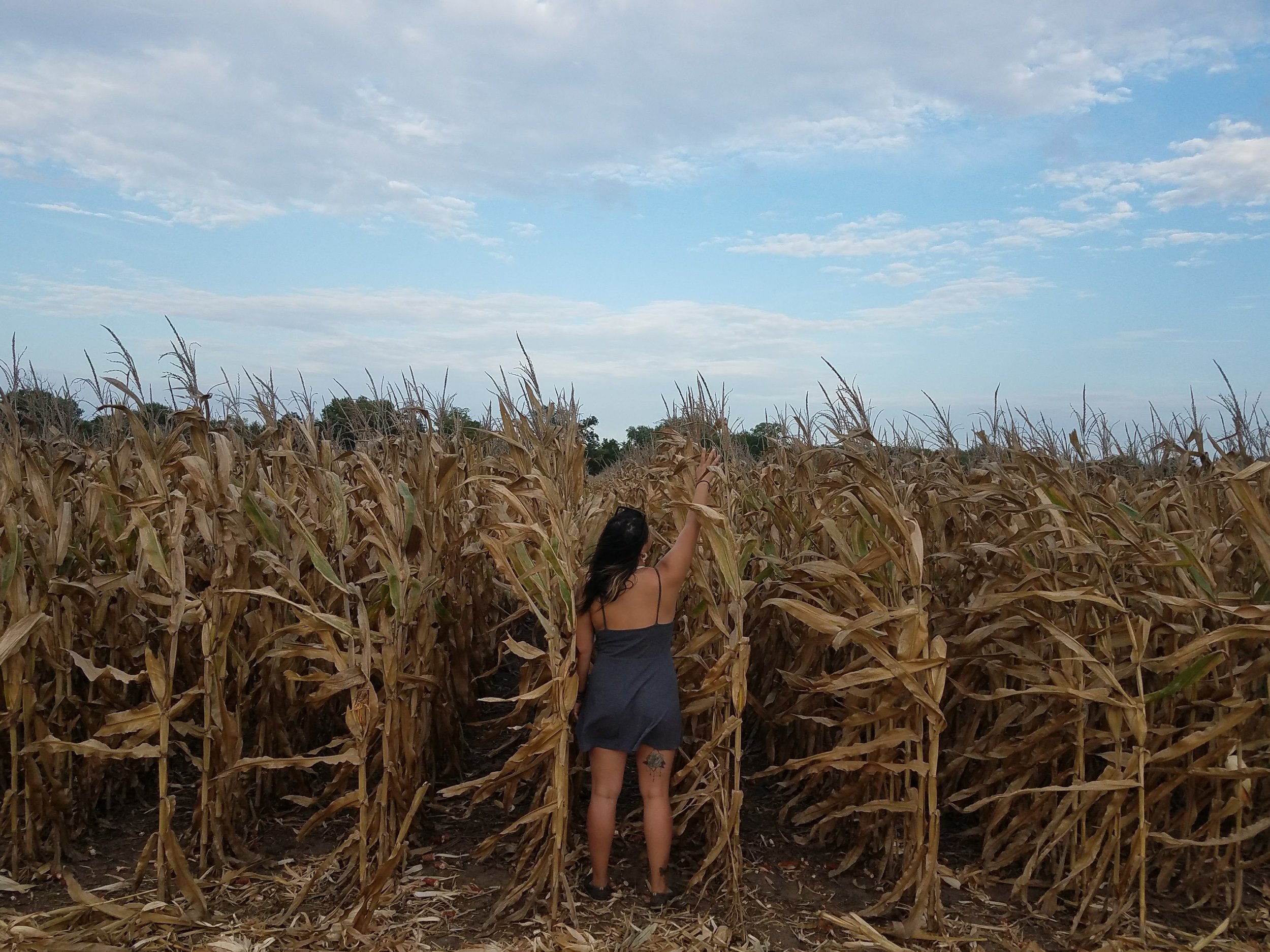 20160907_182509.jpg