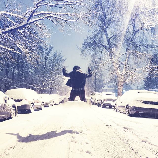 Who is ready for spring? 🙌
.
.
.
.
#denver #findyourself #dailyinspiration #colorado #travelmore #wonderlust #expandyourplayground #explore #experience #travel #wanderlust #travelgram #travelgirl #outdoorslife #adventurethatislife #snow #jump #crush