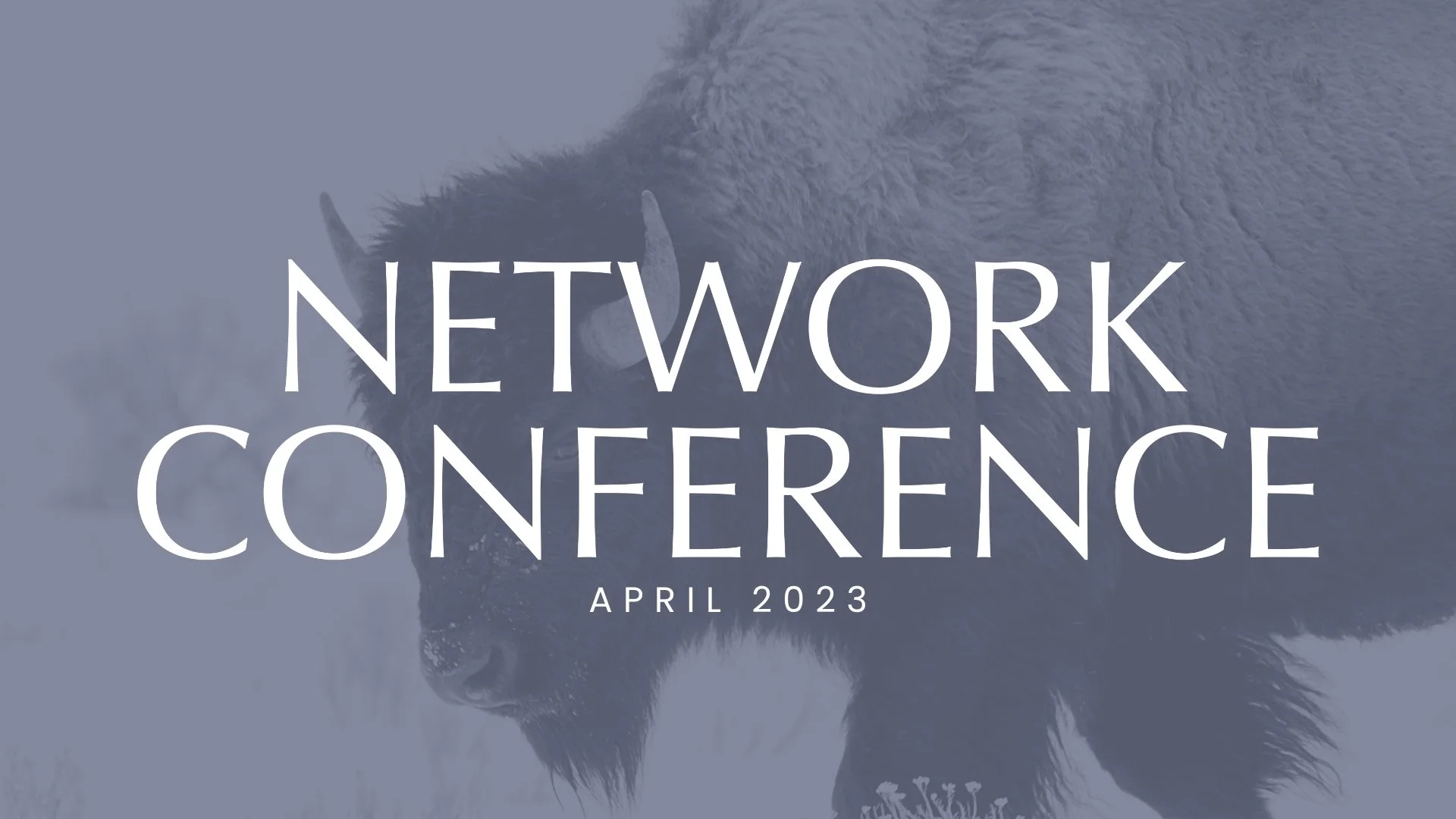 Network Conference 2023