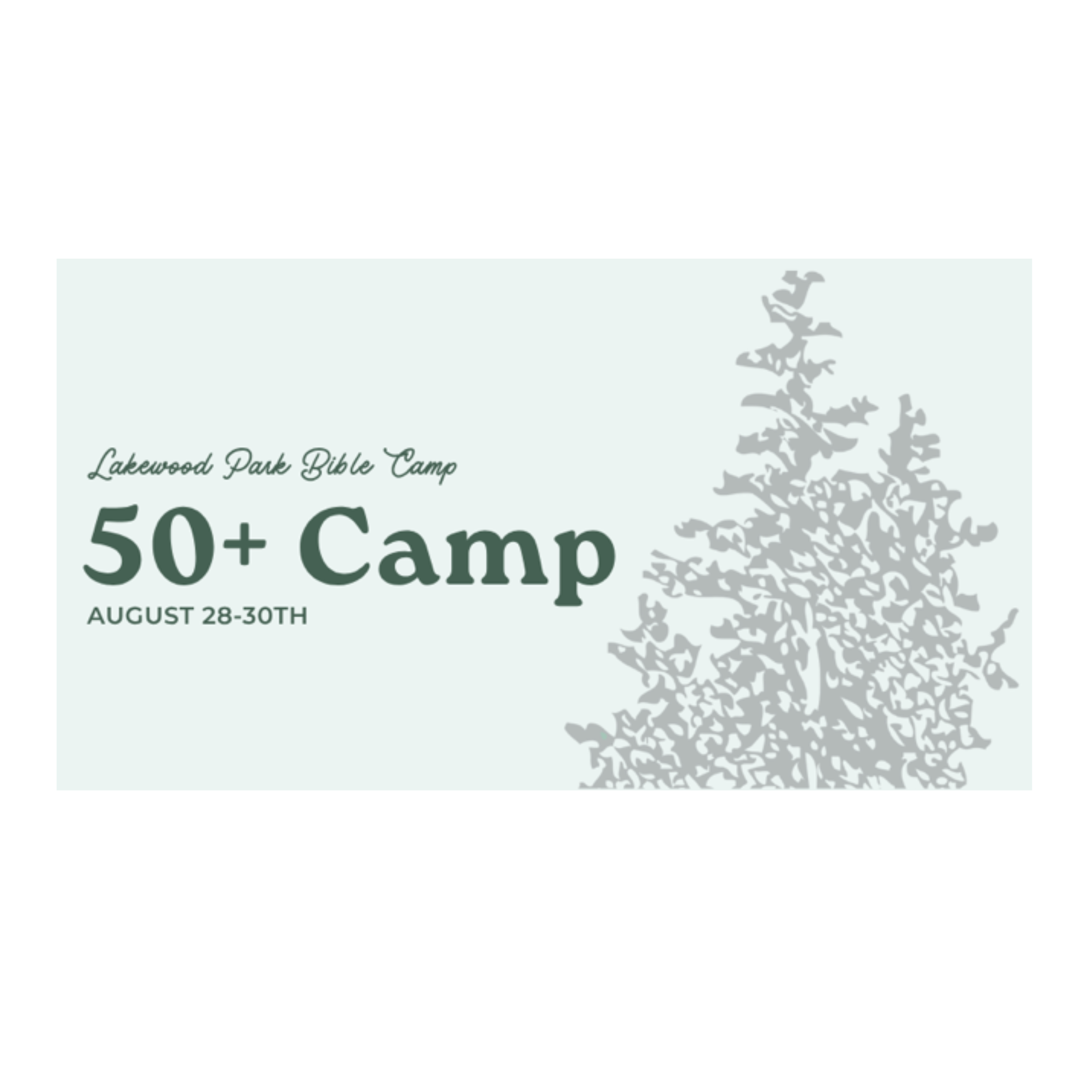 50 + Camp