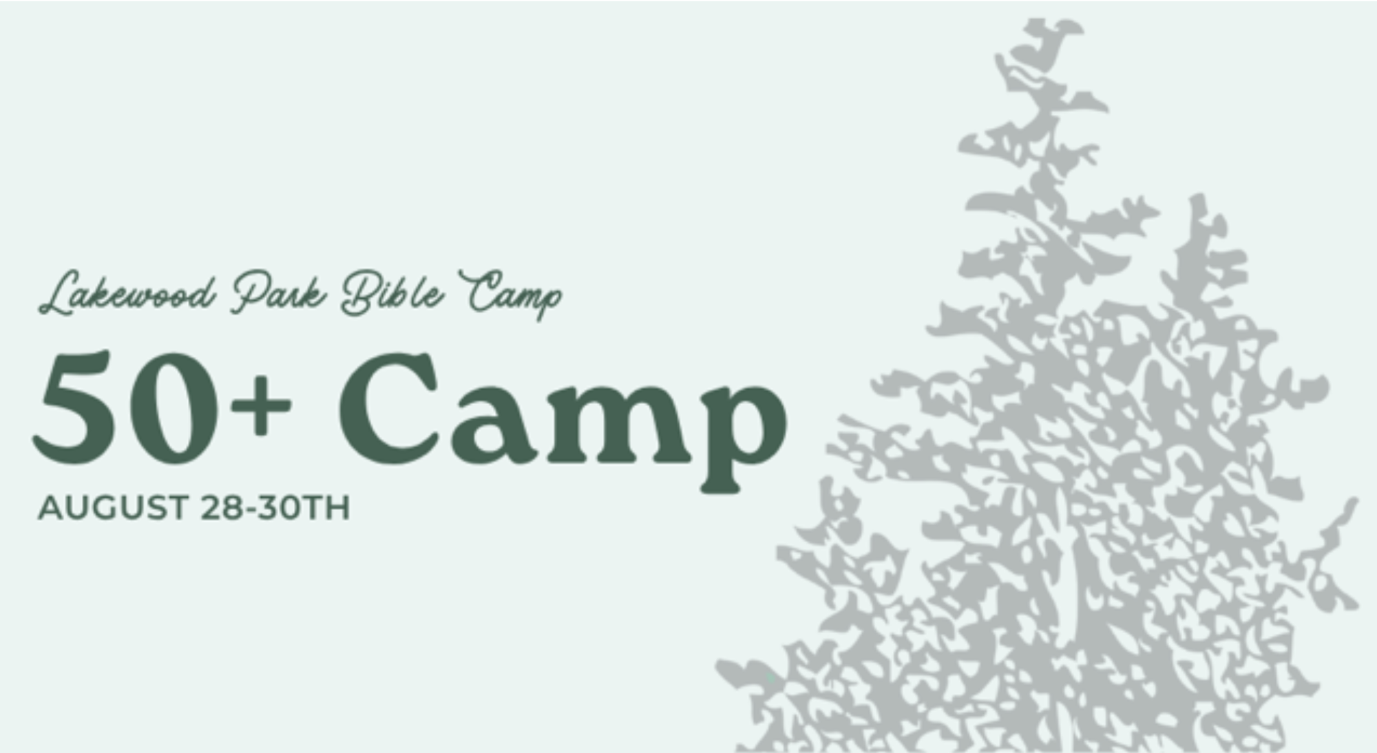 50 + Camp