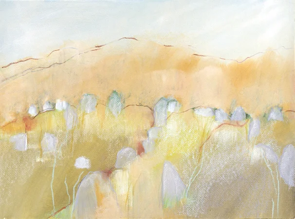 Carnac Stone Field (2005)