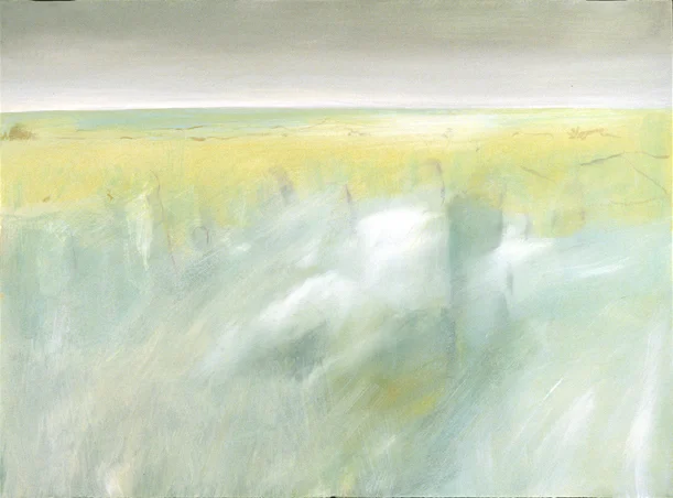 Veiled Stones, Co. Clare (2006)