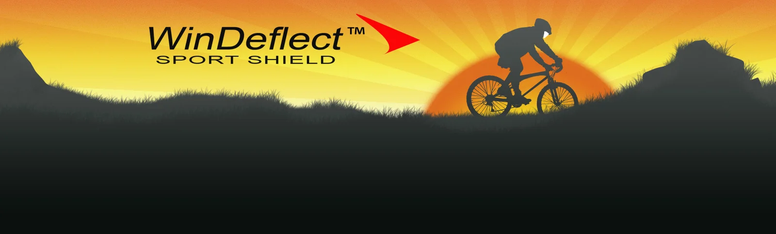 Header2 copy.jpg