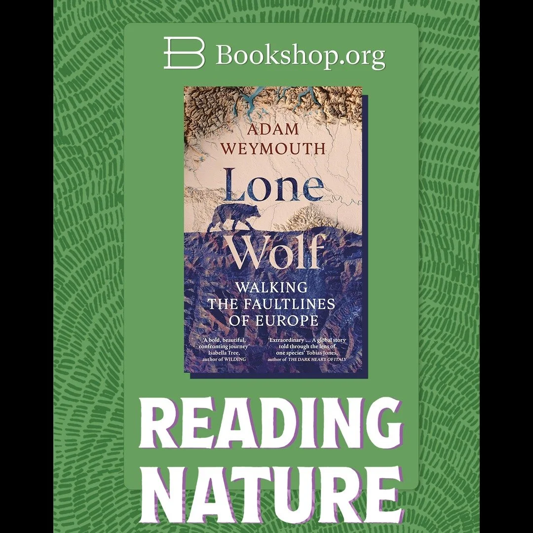 @bookshop_org_uk have got a great list of discounted nature books this month - there are writers I love in there, Ben Rawlence, @calflyn, @writerhannahbt, and plenty more I'd like to get round to.

https://uk.bookshop.org/lists/nature-reading-guide