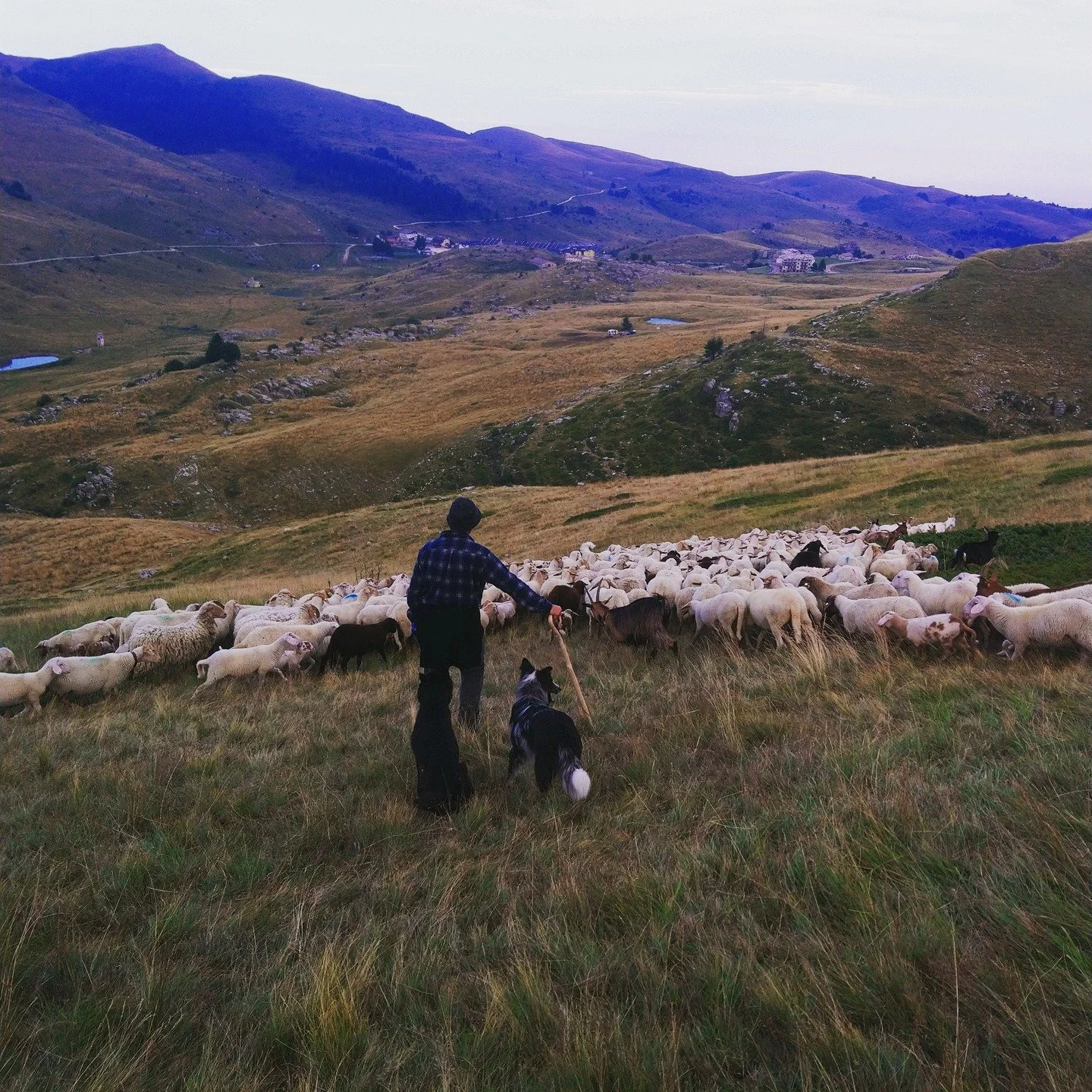 &quot;Mattia has a tattoo on his forearm of four parallel lines, like bracelets, the two in the middle close together and bracketed by two more. Once it had meant a road to him, the endless road that he was on as a photographer. But these days he rea