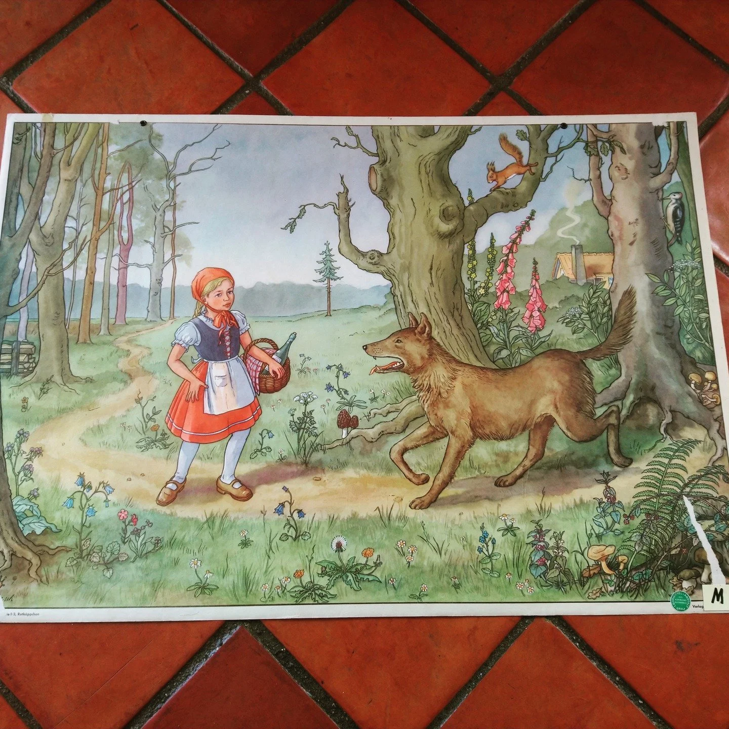 The grandfather has been up early, digging through boxes in the garage. He comes in now with some rolls of paper and unfurls them on the floor. They are dated 1950. They are the sorts of pictures you might once have found on a classroom wall, back wh