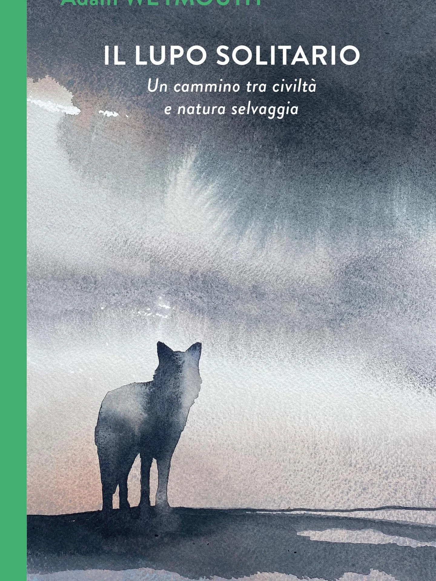 Out in Italy today, with this beautiful cover by @nicomagrin , published by the brilliant @iperborea So pleased that the book has found a home where Slavc and Juliet found theirs 🐺