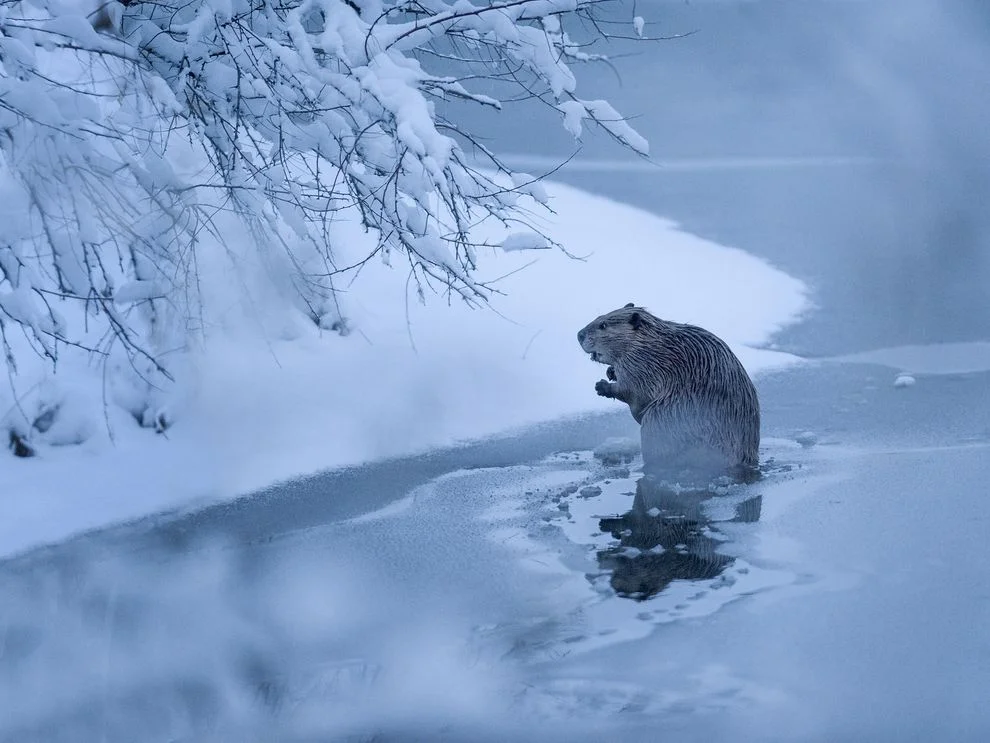 Photo credit: John Warner via National Geographic
