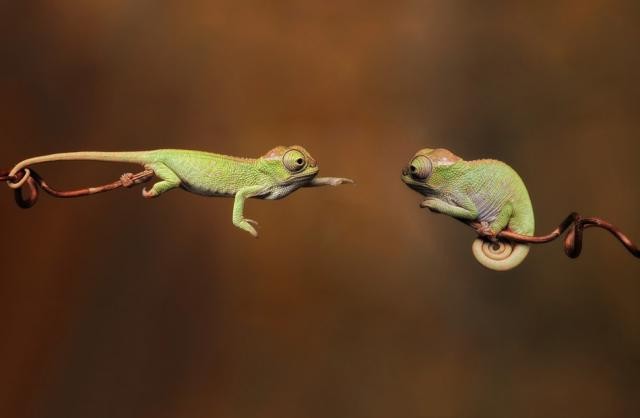 Photo credit: Igor Siwanoqicz via wherecoolthingshappen.com